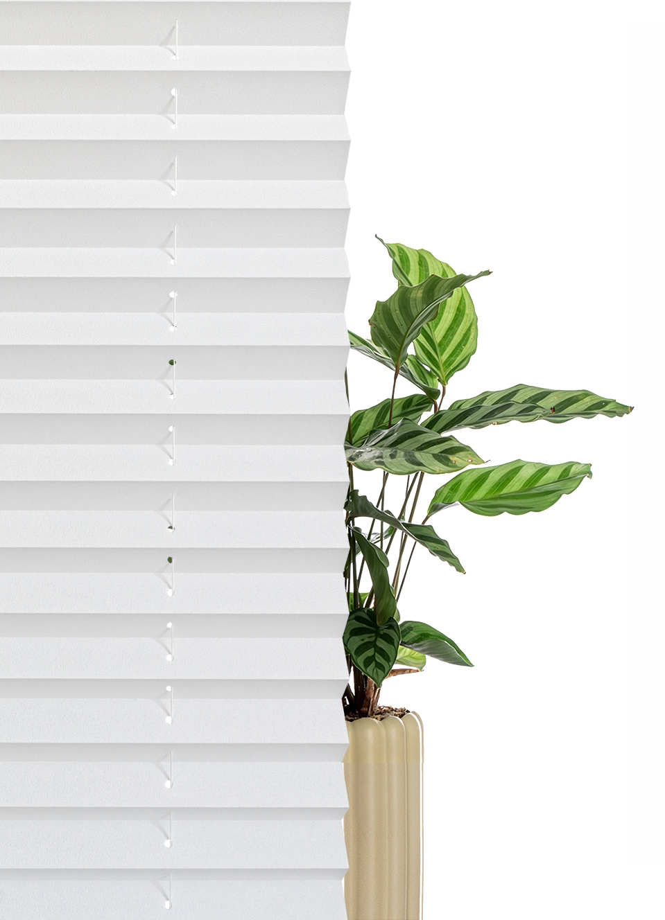 GOODproduct Plissee »LORRI« Lichtschutz ohne Bohren freihängend Freihängendes Design ohne störende Schnüre oder Ketten - NEUHEIT!