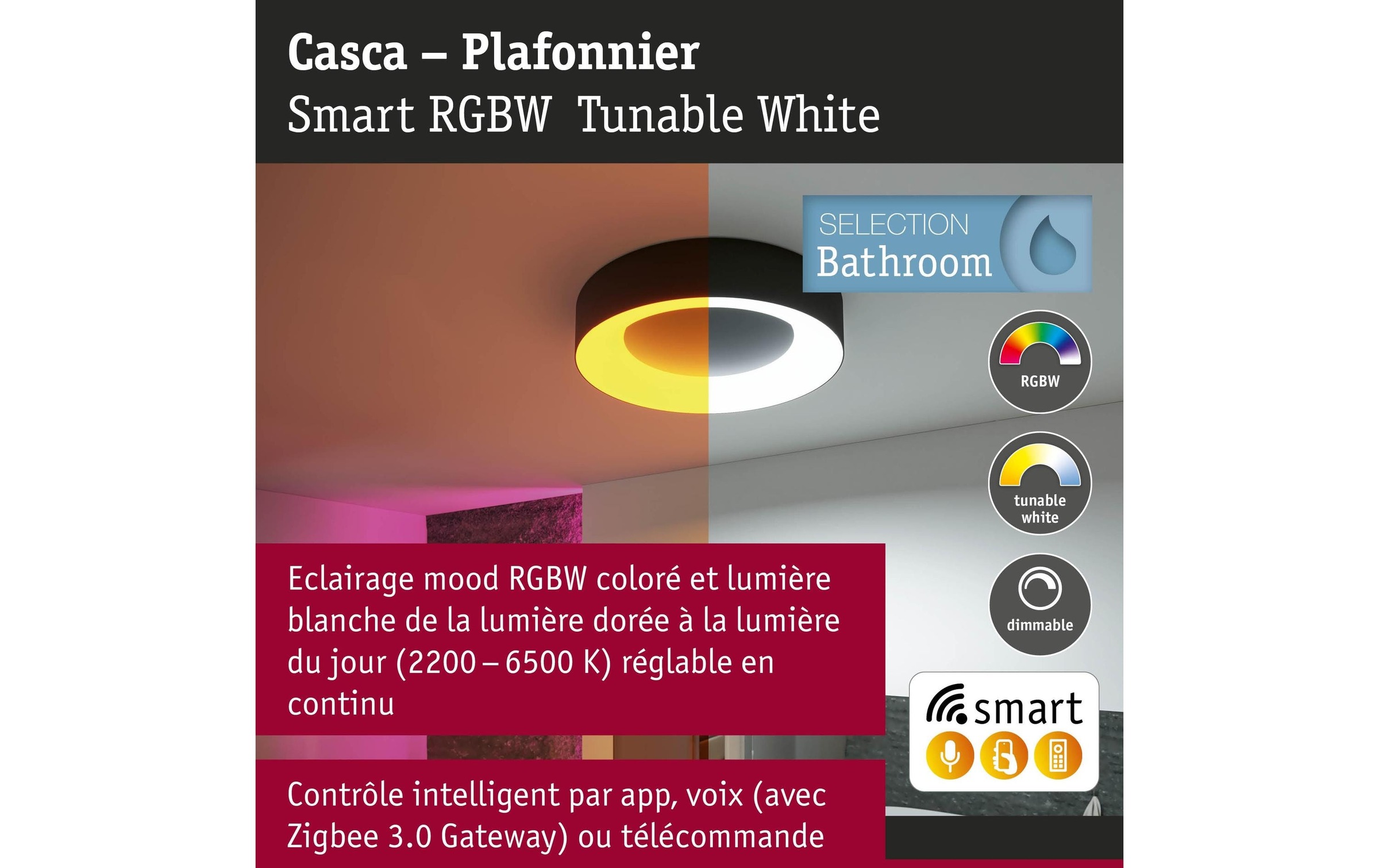 Paulmann Deckenleuchte »Casca« LED-Modul 1 Stk. Tageslichtweiss dimmbar