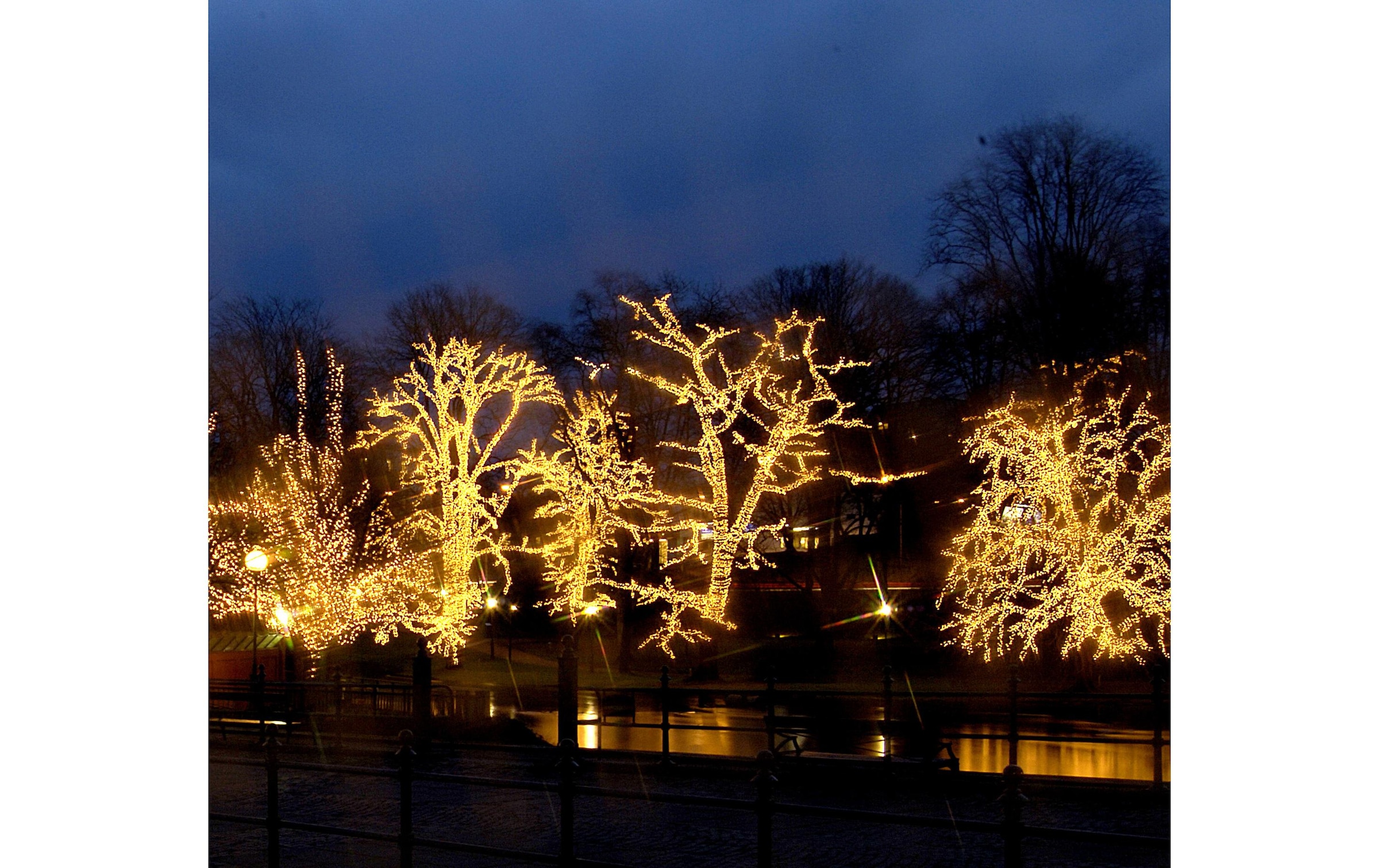 Parforce Traditional Hunting Lichterkette »LED Extra Icicle, 200 x 100 cm«