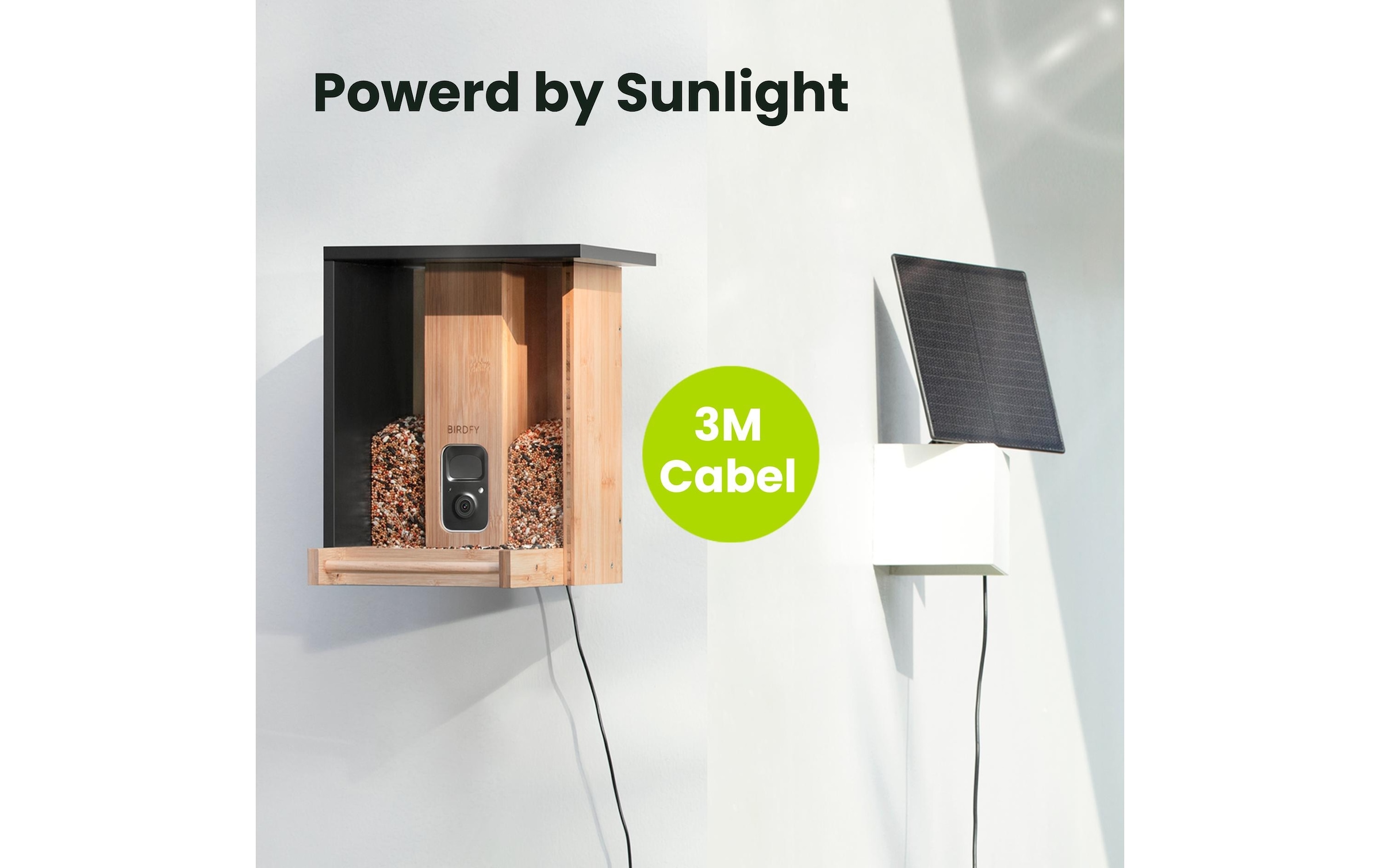   Vogelhaus »mit Kamera 1080p« Smartes Vogelhaus mit Kamera mit Farb-Nachtsicht