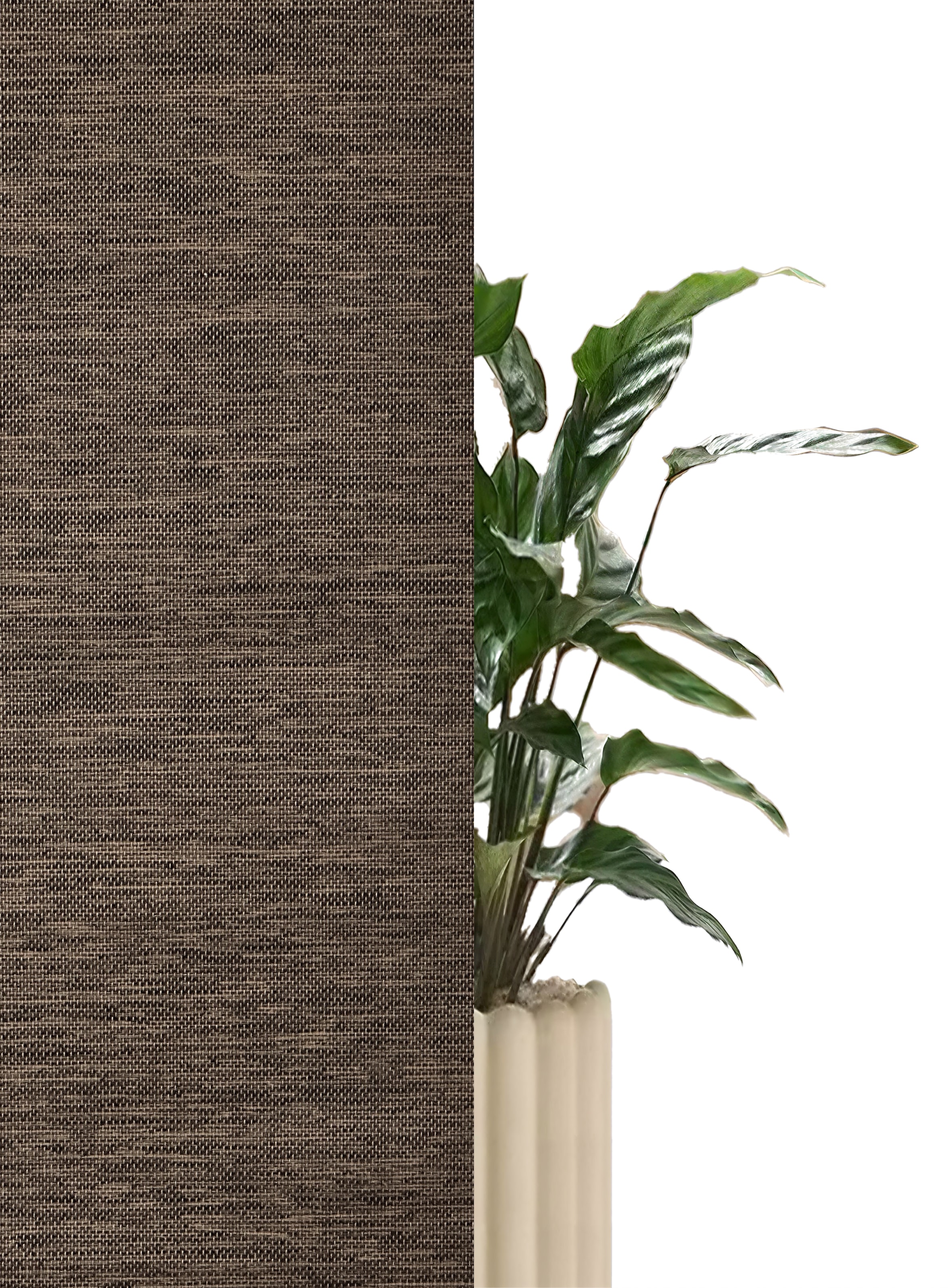 GOODproduct Rollo »RILLEY« Lichtschutz Sichtschutz | Verdunkelung ohne Bohren freihängend Seitenzugrollo, Rollo in eleganter Gewebestruktur - NEUHEIT!