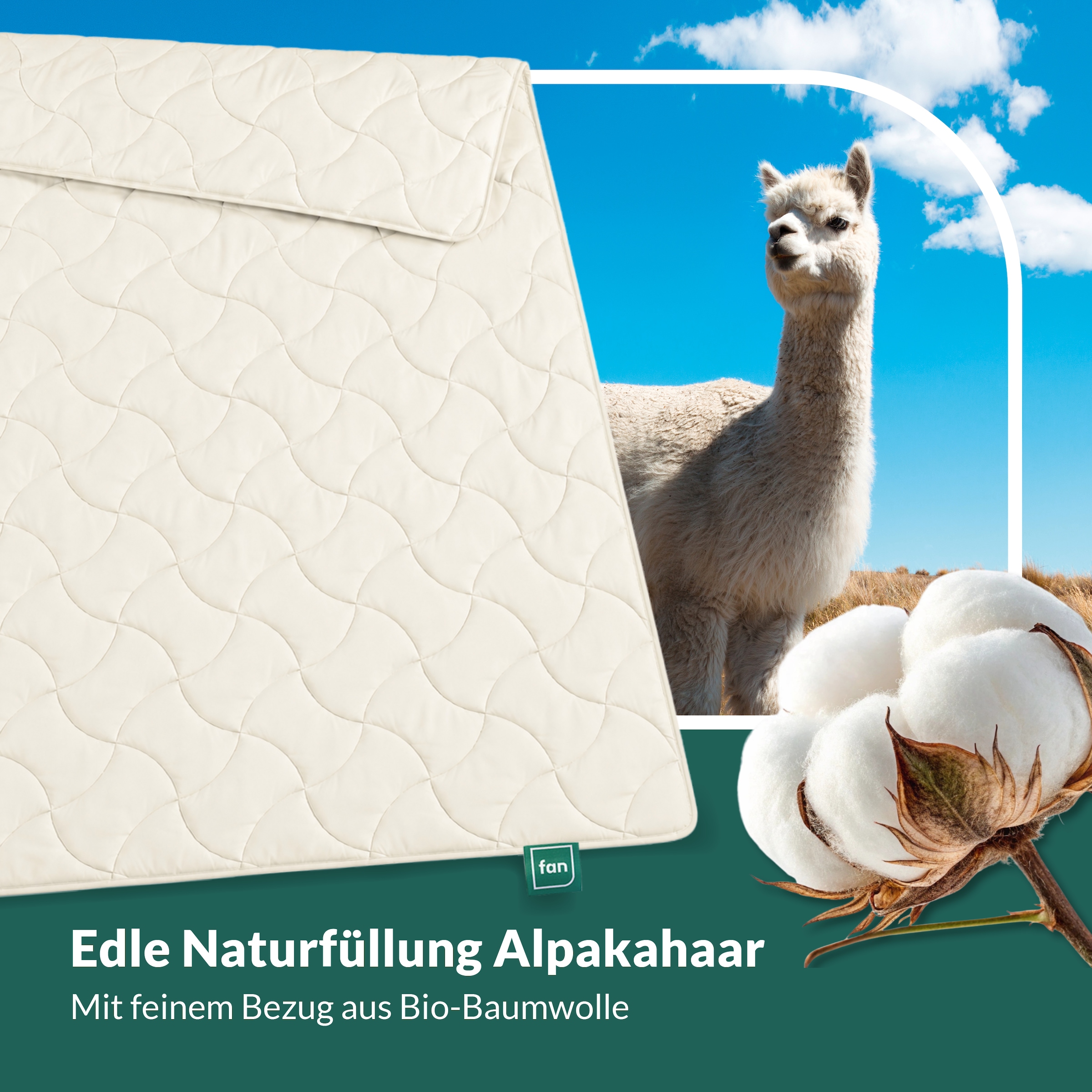 fan Naturhaarbettdecke »Baby Alpaka, Bettdecke in 135x200 und weiteren Grössen erhältlich« leicht Füllung 97% Alpaka & 3% sonstige Faser 1 Stk. tlg. Bettdecke aus Naturhaar hergestellt in Deutschland
