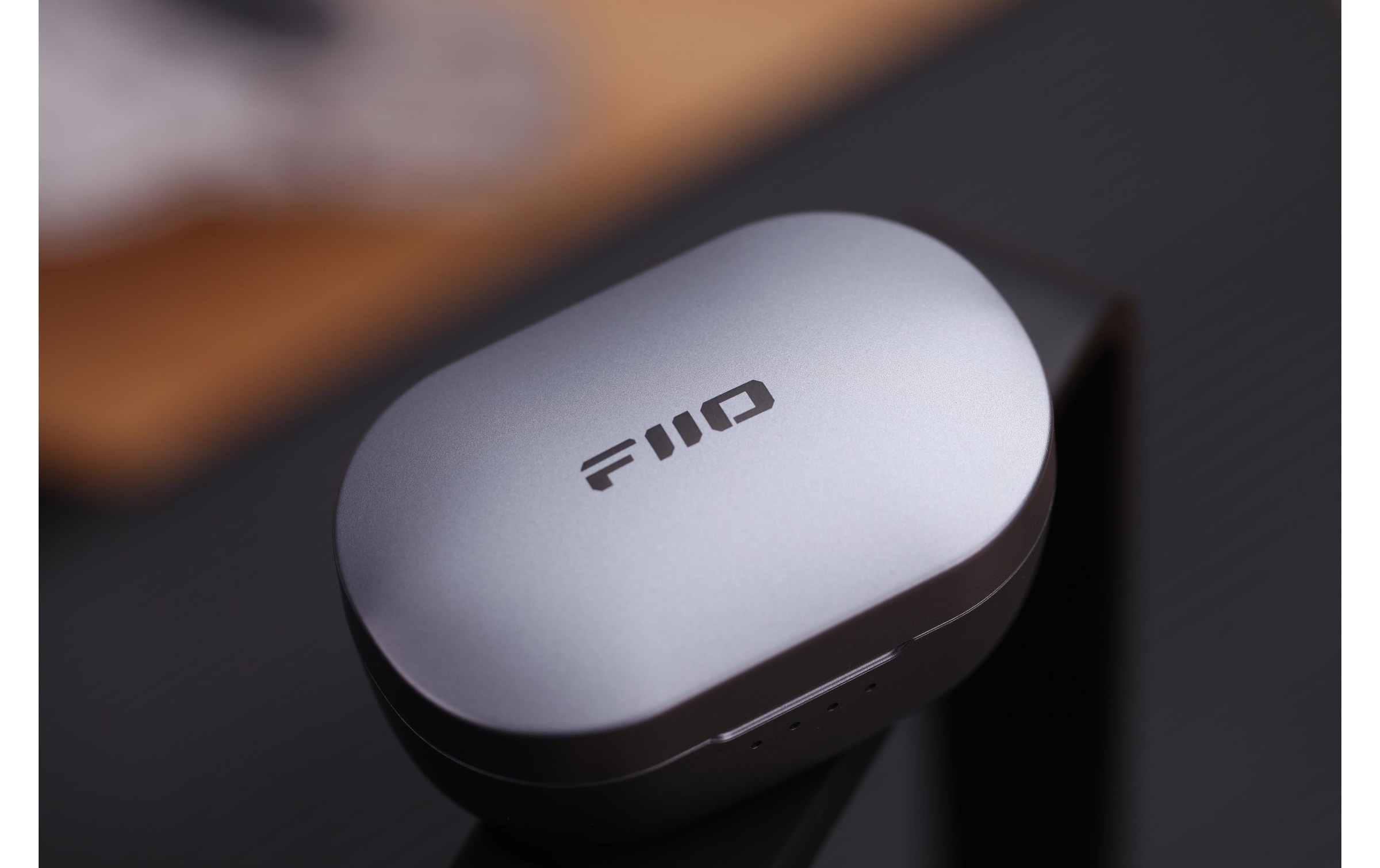   Ecouteurs intra-auriculaires »FiiO FW3 Grau«