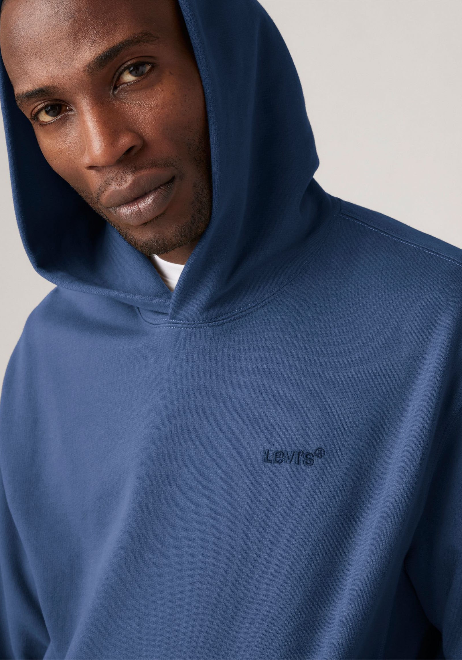 Levi's® Hoodie »THE AUTHENTIC HOODIE«, mit kleiner Ton-in-Ton Logostickerei auf der Brust