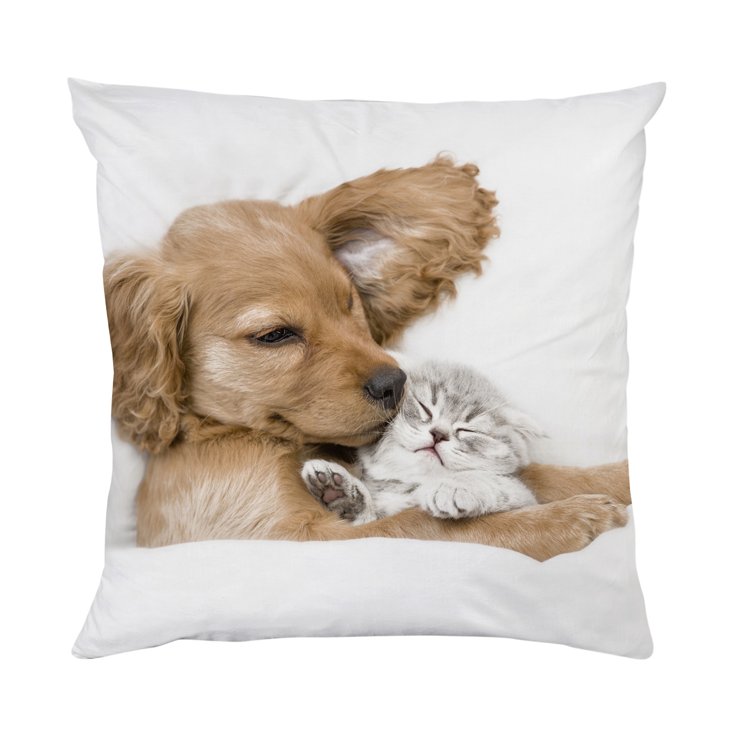 queence Dekokissen »Welpe mit Katze« Kissenhülle mit HD Premium Druck, geruchsneutral, 40x40cm