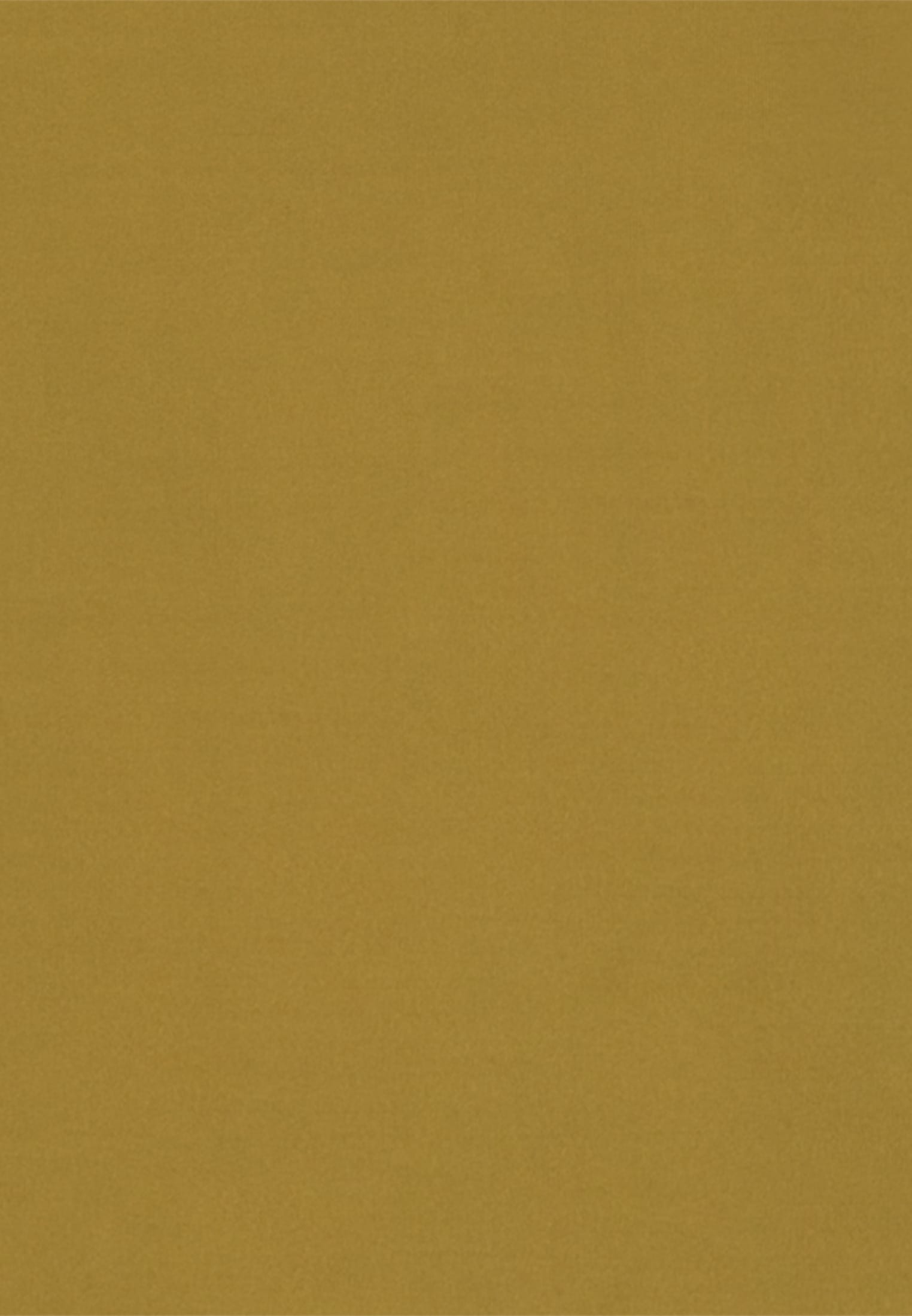 studio seidensticker T-Shirt »Studio« Kurzarm Rundhals Uni