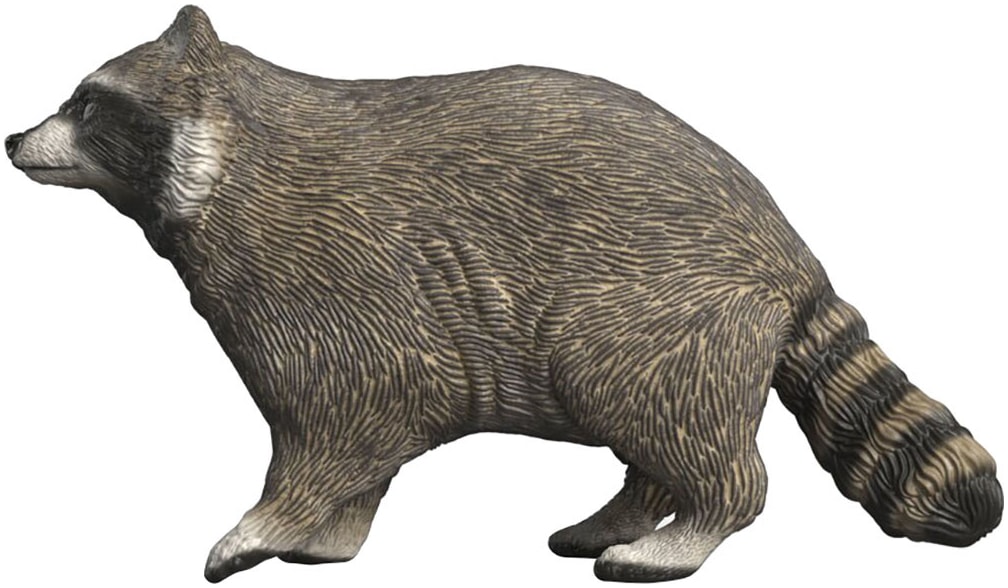 Schleich® Personnage de jeu »WILD LIFE, Waschbär (14937)«