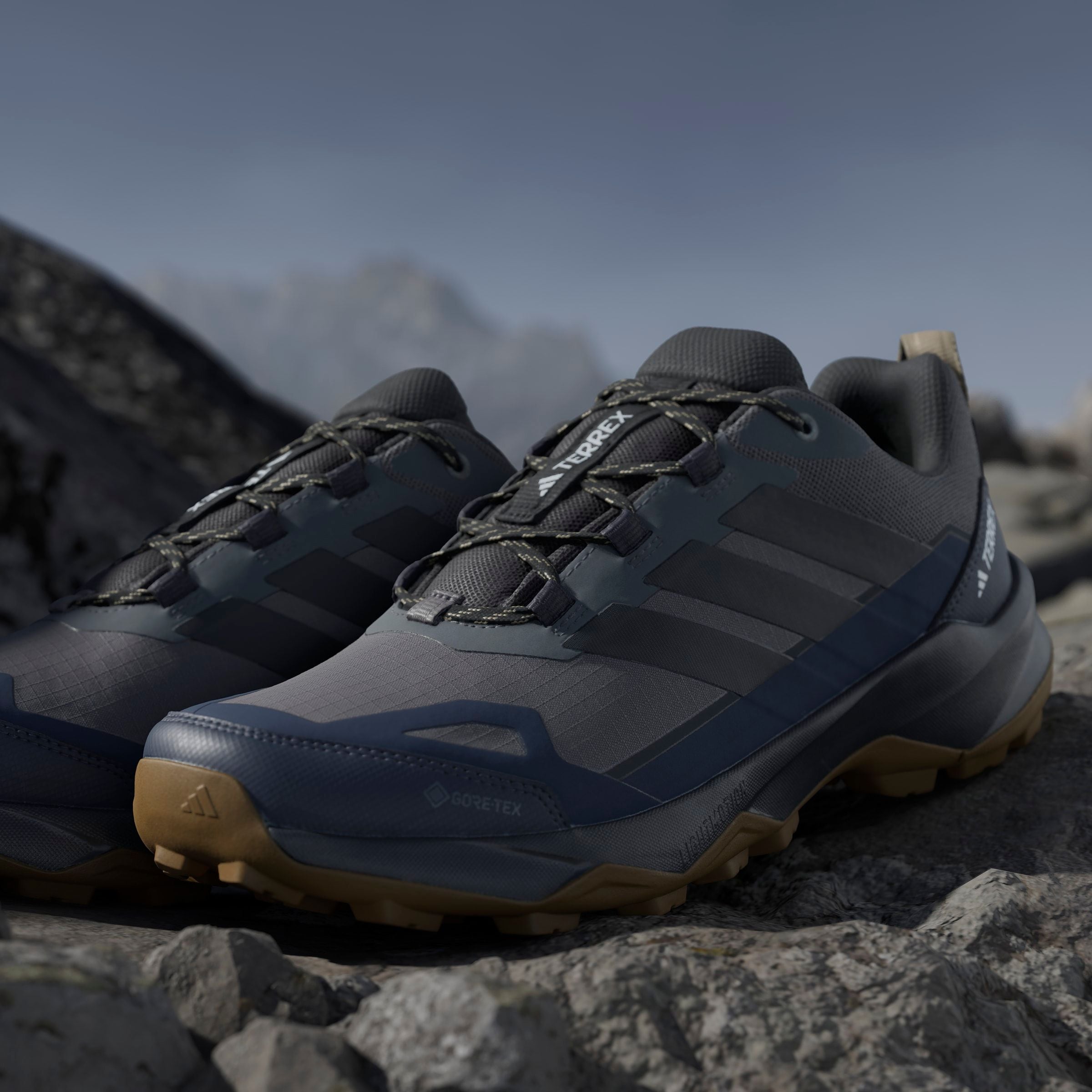 adidas TERREX Wanderschuh »TERREX SKYCHASER AX5 GORE-TEX E«  wasserdicht