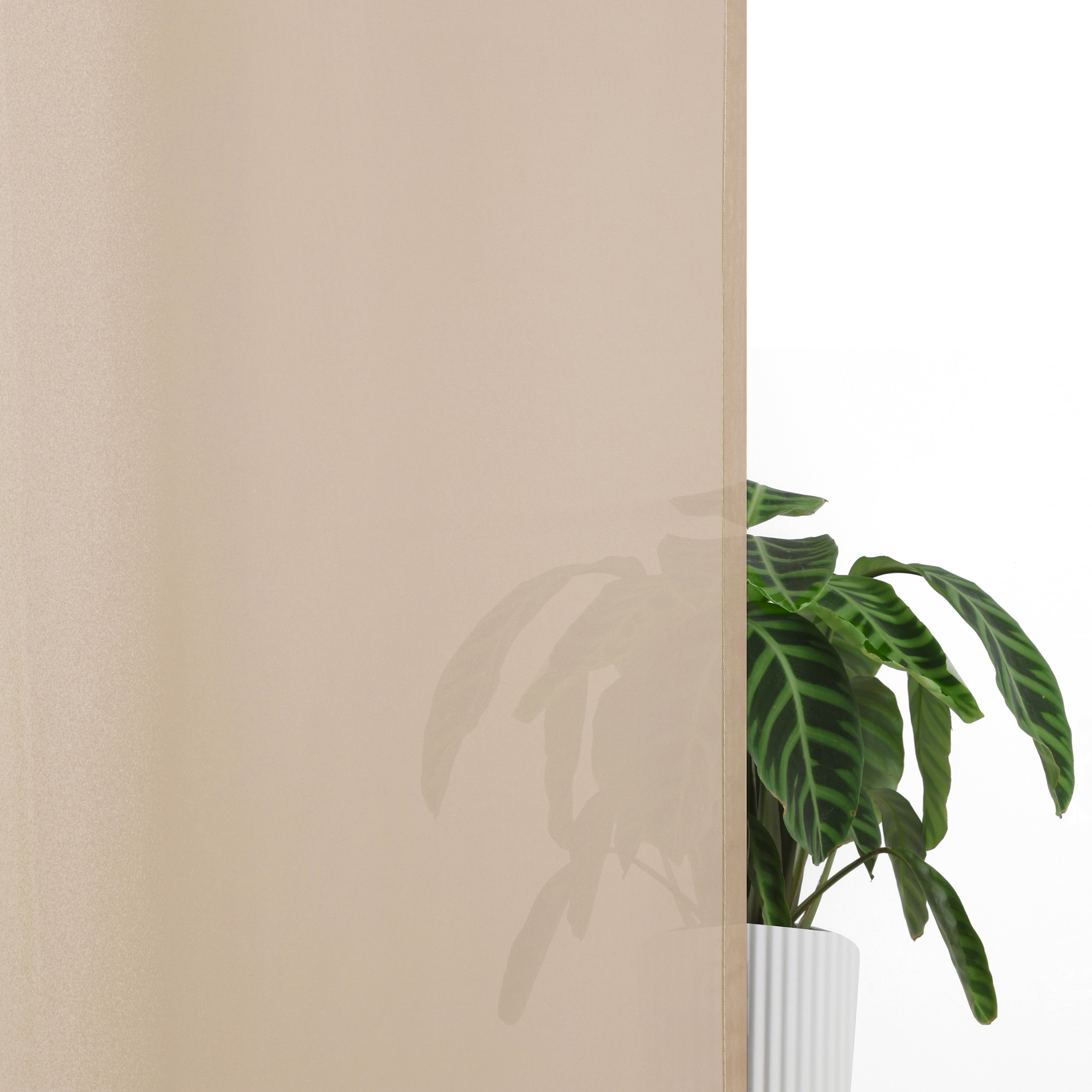 GOODproduct Rideau »Nivva« Œillet 2 cuis tlg. transparent, suspension à œillets, facile d'entretien, lot de 2