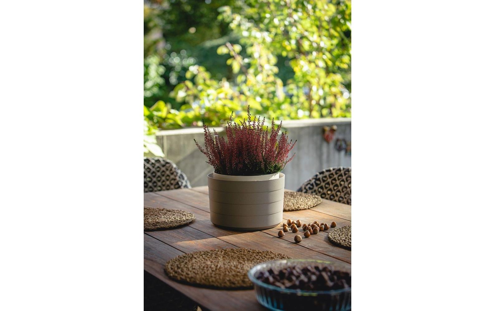   Blumentopf »Plastia Berberis 30 cm ohne Vorhang«