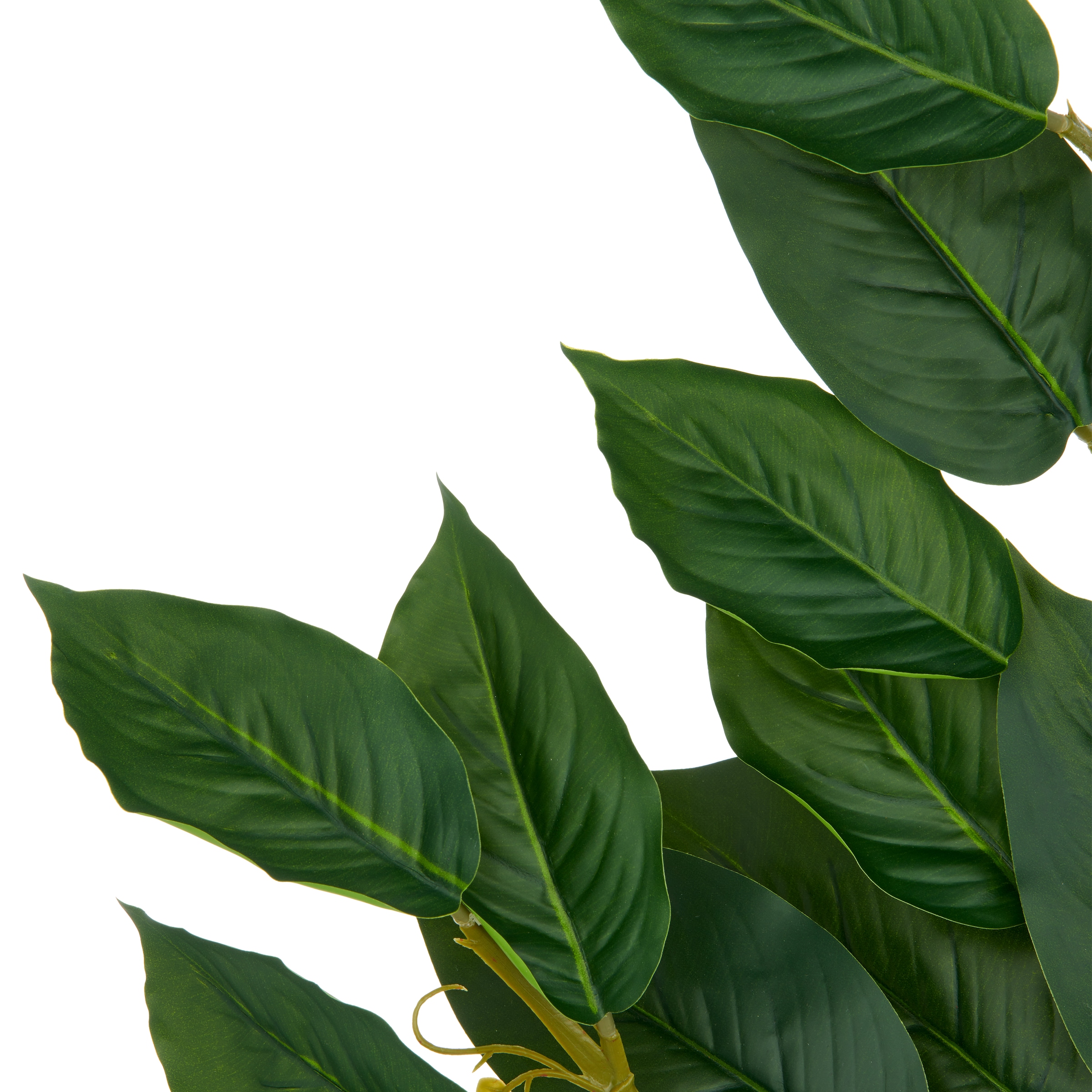 Creativ green Kunstzweig »Ficuszweig« mit naturgetreuem Blattwerk