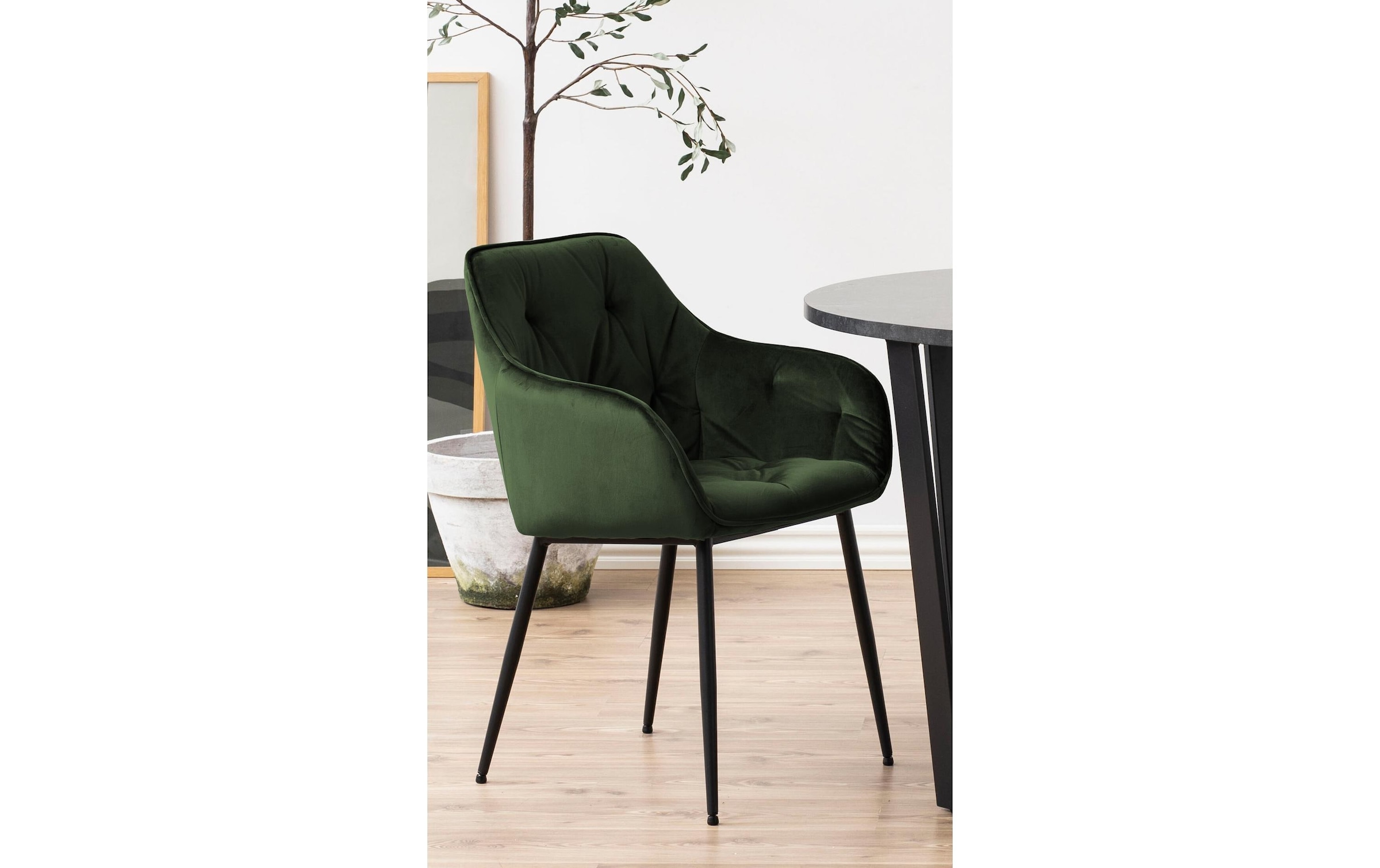 AC Design Stuhl »Brooke, 2 Stück« ()