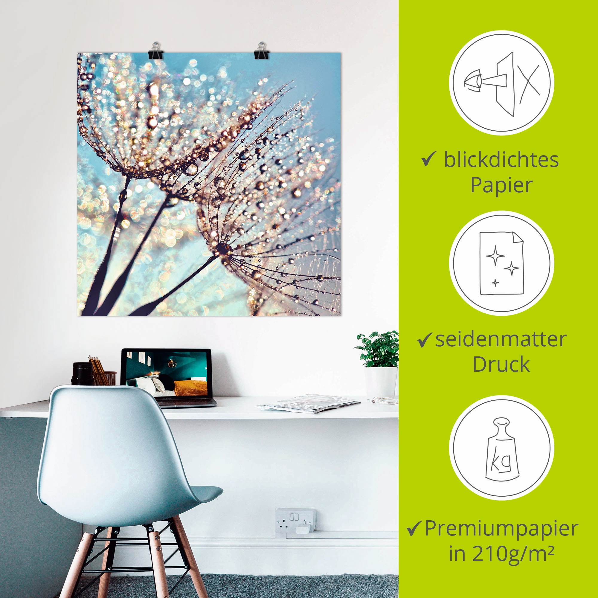 Artland Poster »Pusteblume Tröpfchenfänger« 1 cuis tlg. ohne Rahmen