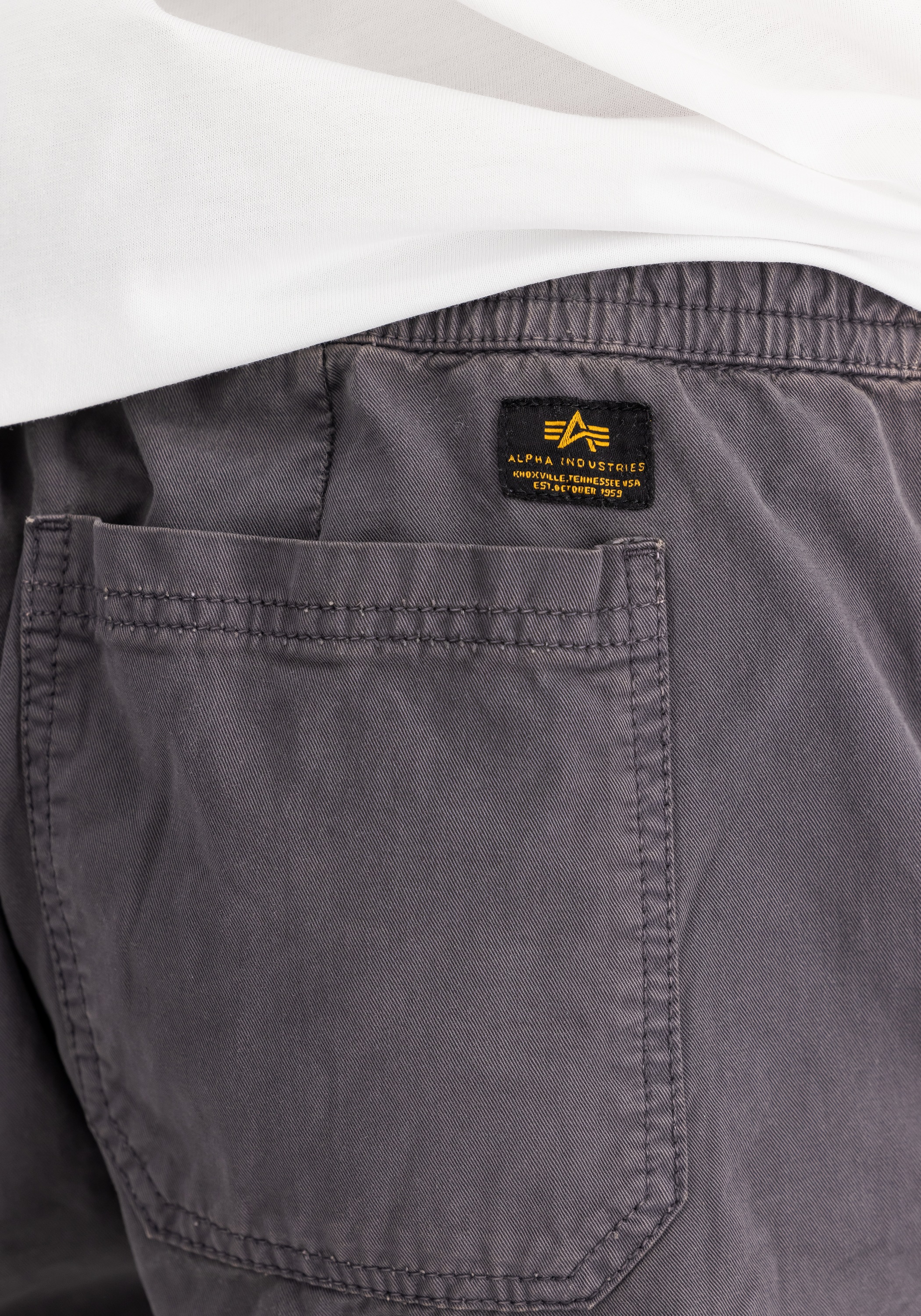 Alpha Industries Shorts »Basic Cotton Pants«