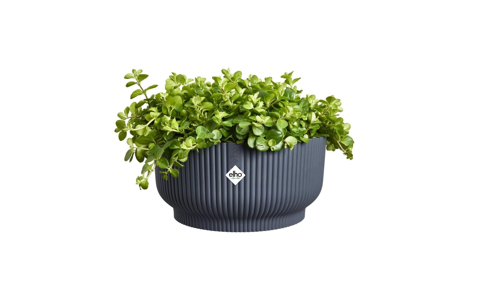 Elho Pot de fleurs »Vibes Fold Bowl 25 cm«