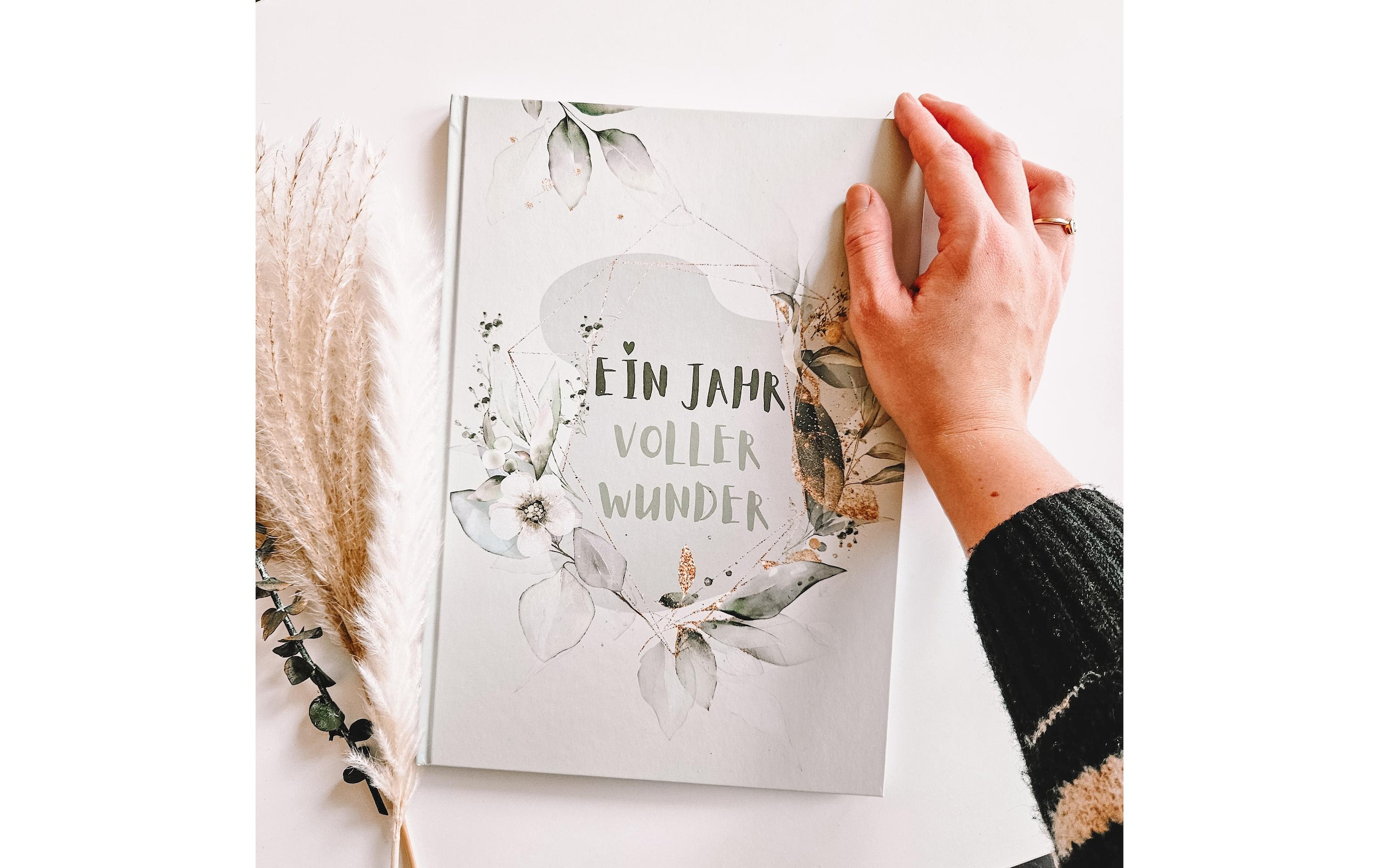   Buch »Eulentaler Pflanzen«