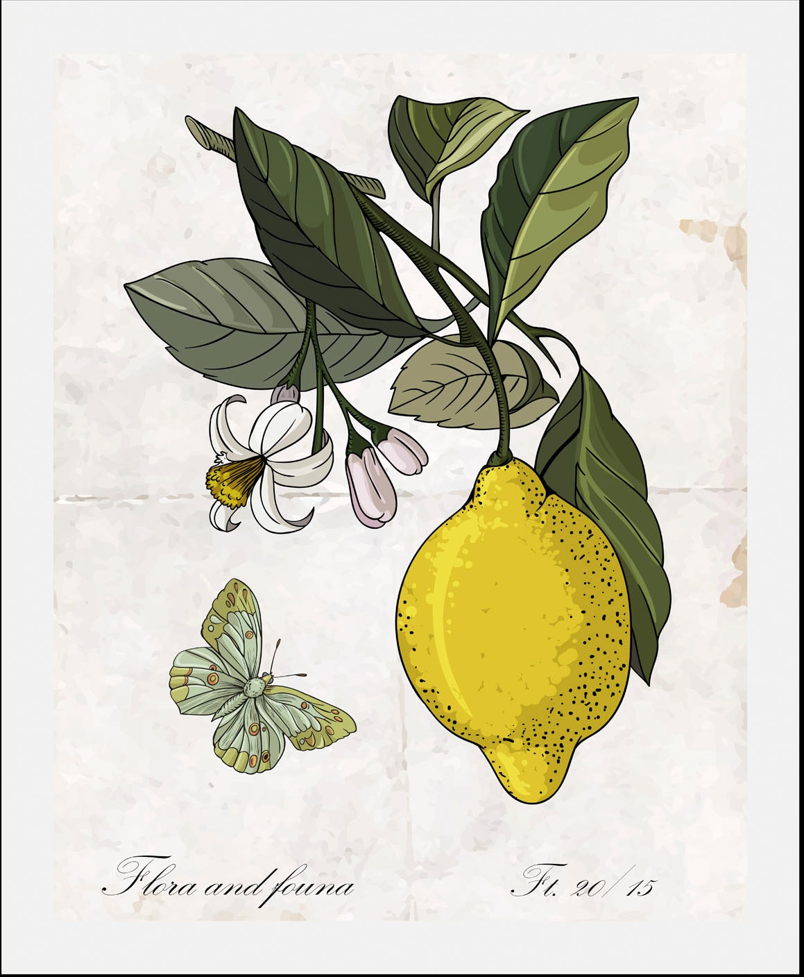 queence Bild »Enyo« Essen | Kunst | Lebensmittel | Obst | Obst Bilder | Schmetterlinge | Schriftzug 1 Stk. tlg. gerahmt