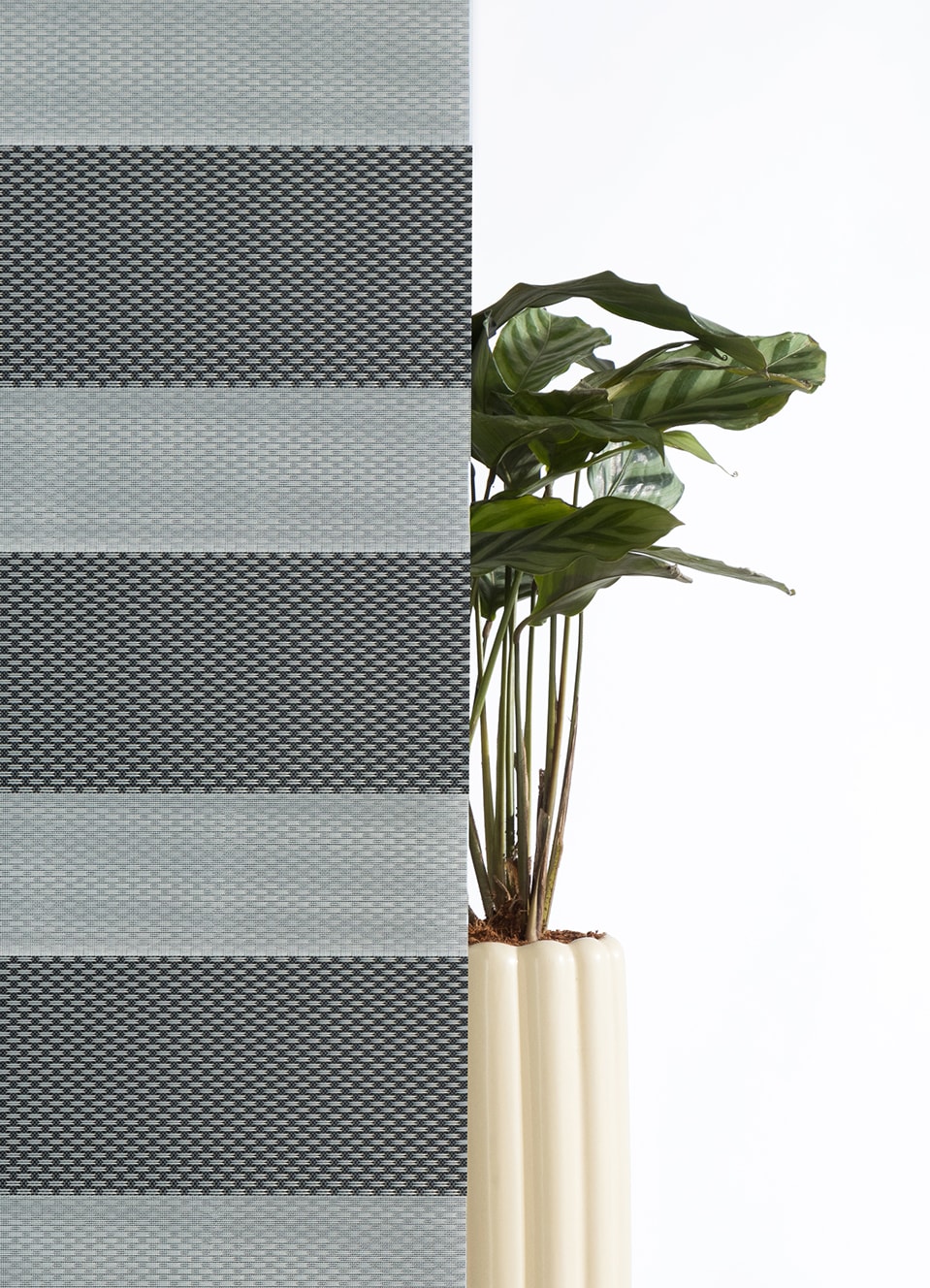 Bruno Banani Doppelrollo »KIAN« Lichtschutz Sichtschutz ohne Bohren freihängend Klemmfix Doppelrollo- NEUHEIT!