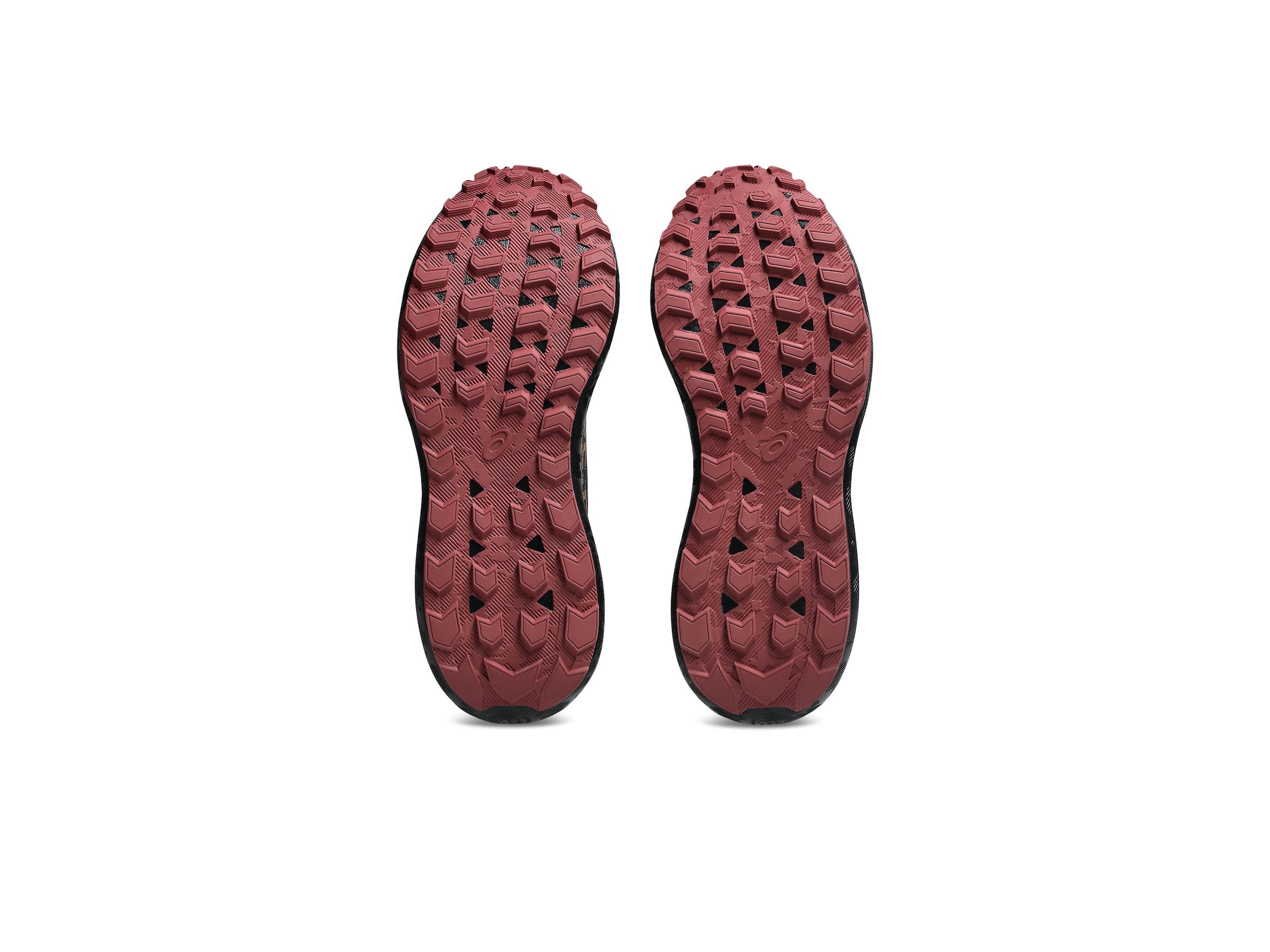 Asics Chaussures de trail »GEL-SONOMA 8 Gore-Tex«  étanche
