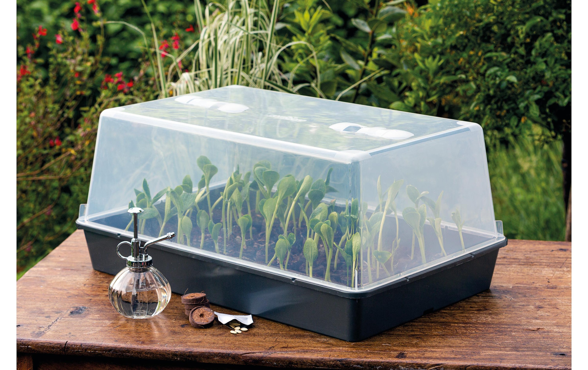   Gewächshaus »Romberg XXL mit Belüftung,stabil,lose Ware«