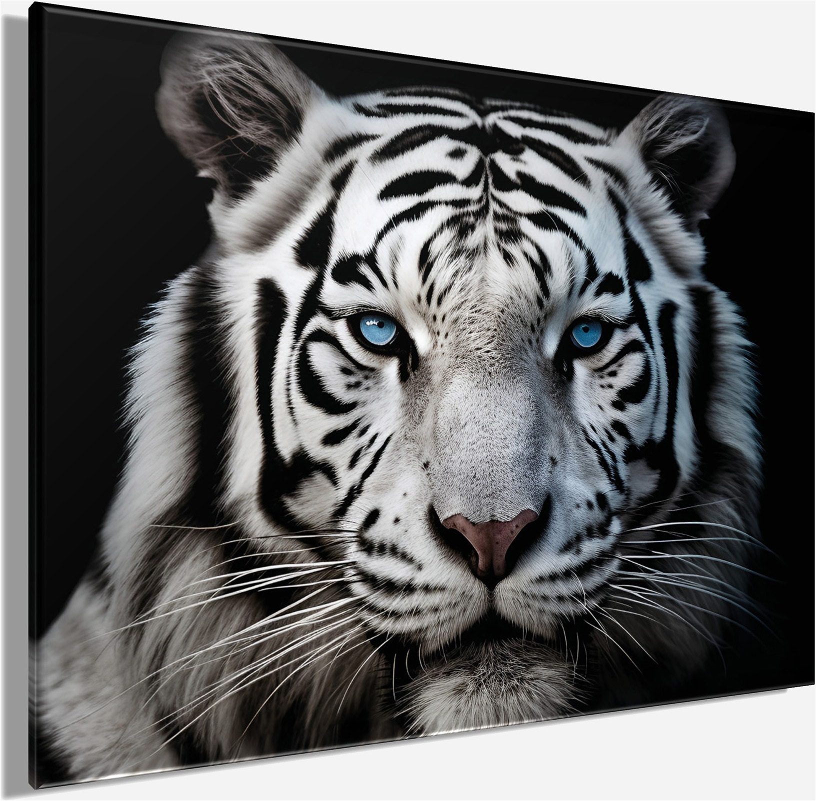 Bönninghoff Tableau sur toile »Wandbild WEISSER TIGER 46x61 cm – Leinwandbild Keilrahmen Deko modern« Animaux | Animaux sauvages | Félins | Tigre 1 cuis tlg. tendu sur châssis