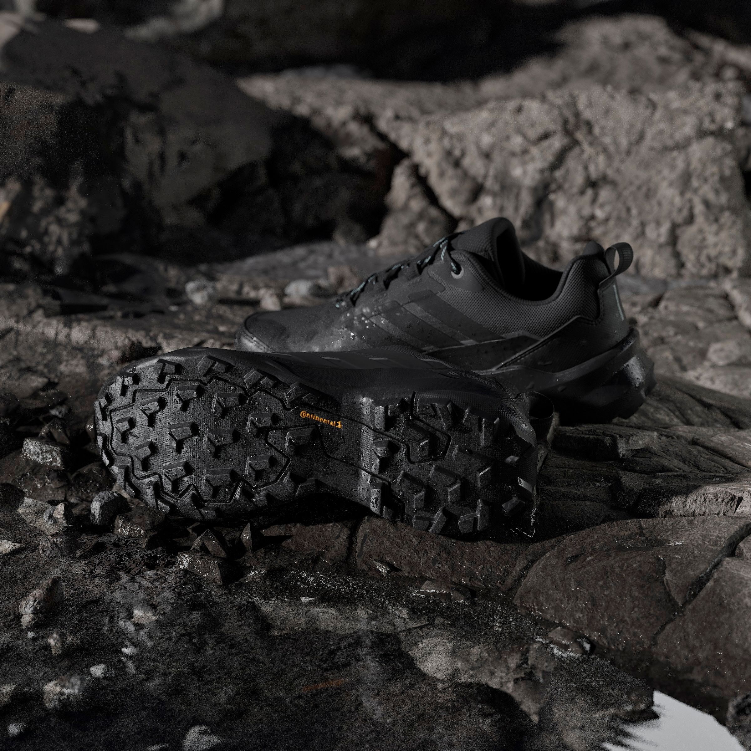 adidas TERREX Wanderschuh »TERREX SKYCHASER AX5 GORE-TEX«  wasserdicht