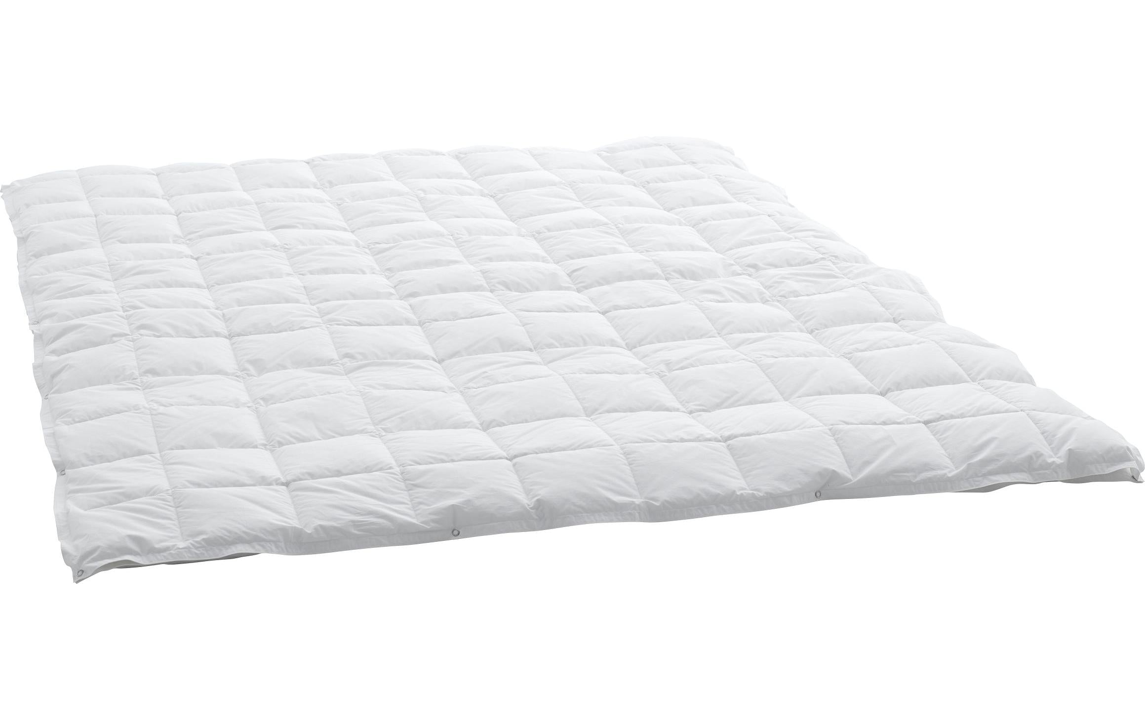 Swiss Dream by billerbeck Couette en duvet »Caro Basic« 1 cuis tlg. 4-Saisons-Daunenduvet