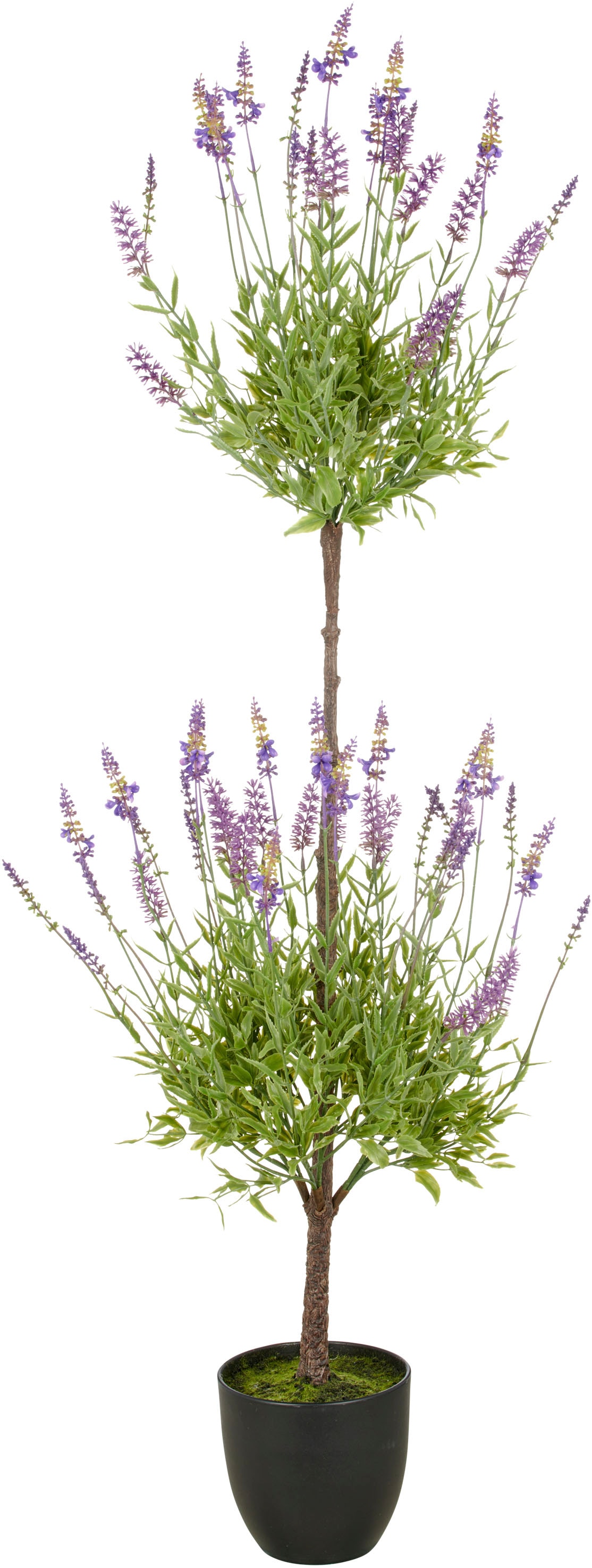 Creativ green Kunstpflanze »Lavendel« mit filigranen Lavendelbüten