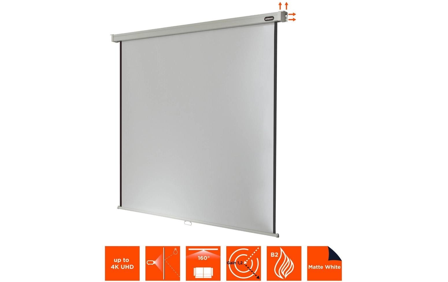 Celexon Rolloleinwand »Pro 160x160cm«