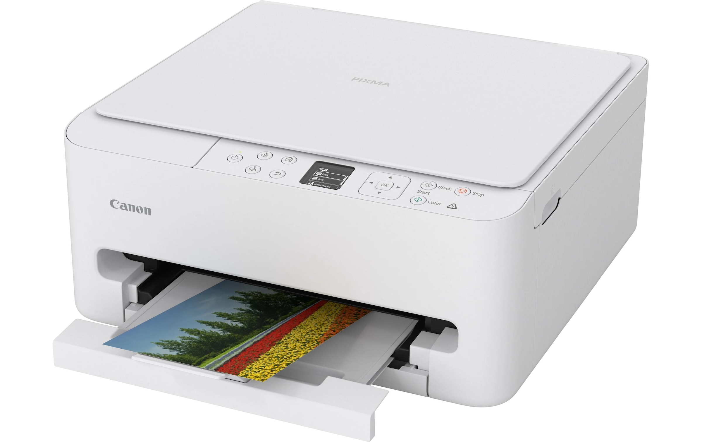 Canon Multifunktionsdrucker »PIXMA TS6550i«