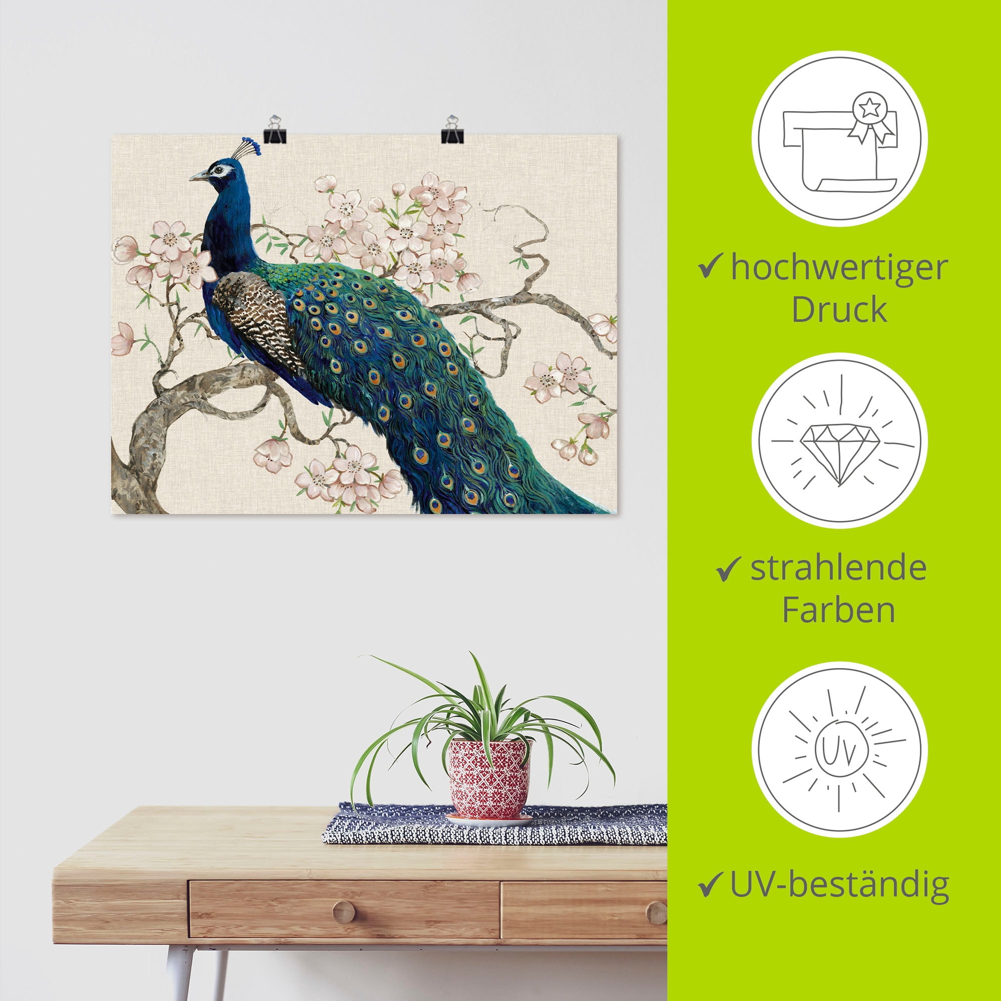Artland Wandbild »Pfau & Blüten II« Vögel 1 Stk. tlg. als Leinwandbild, Poster in verschied. Grössen