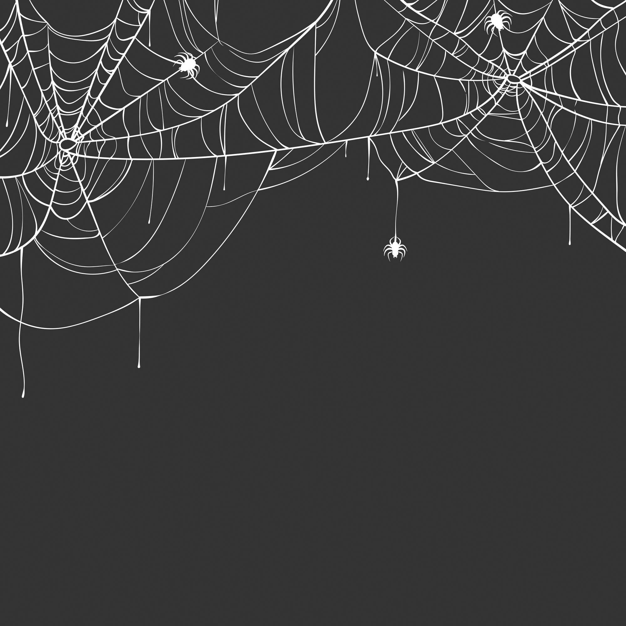 queence Dekokissen »Spiderman« Kissenhülle ohne Füllung, 1 Stück