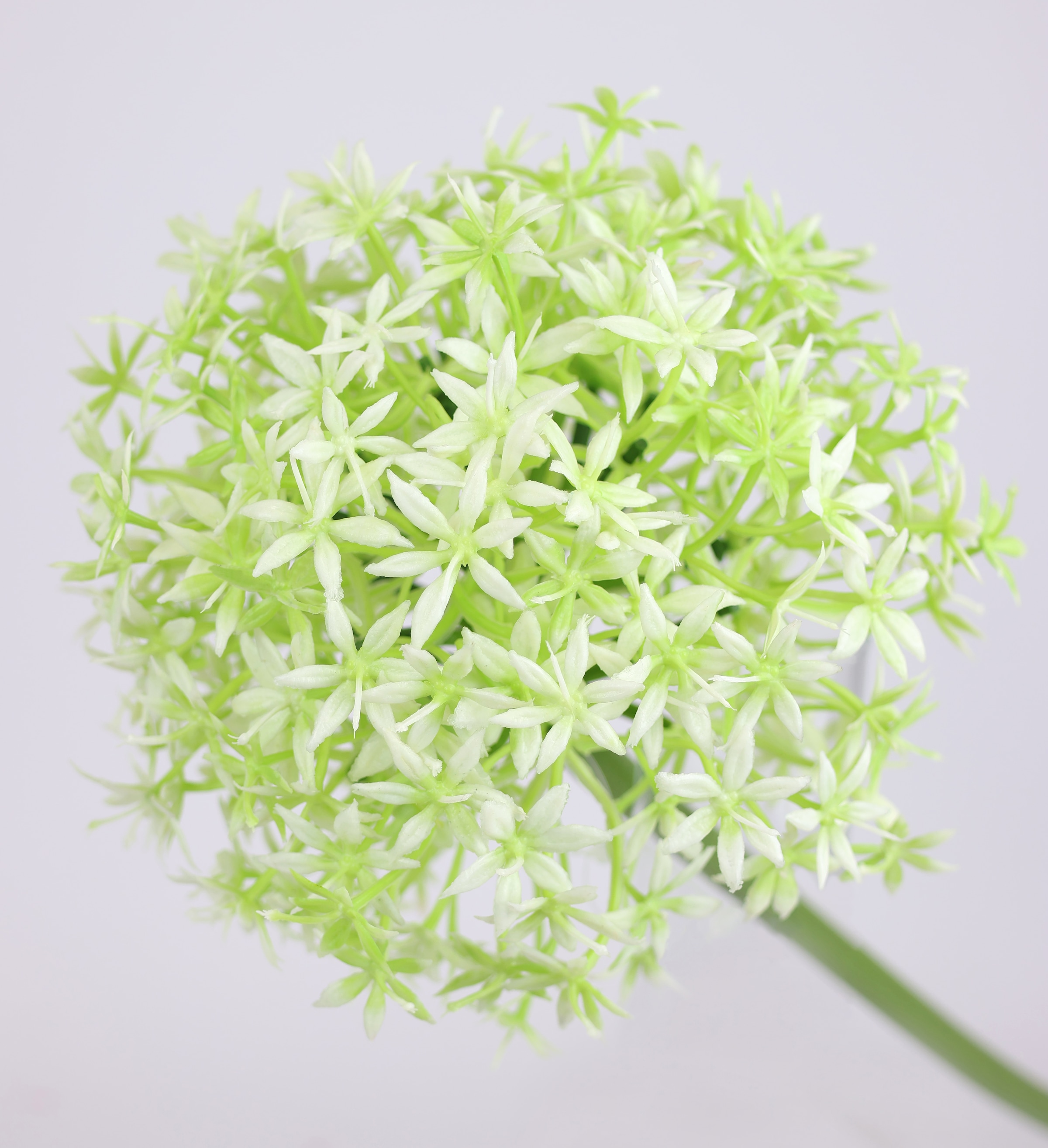 I.GE.A. Fleur artificielle »Allium Zierlauch« Stielblume künstliche Blumen, 2er Set