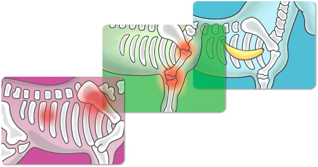 Schleich® Spielwelt »HORSE CLUB, Pferdeklinik Heilende Hufe (42787)«