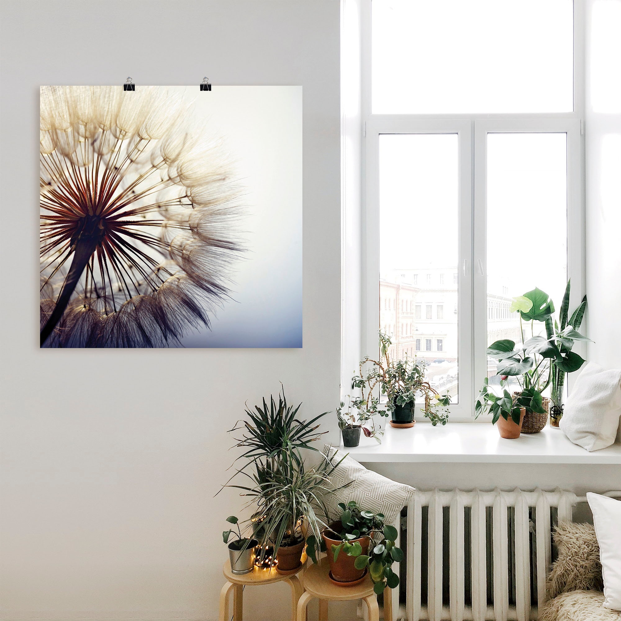 Artland Wandbild »Grosse Pusteblume« Blumen 1 Stk. tlg. als Alubild, Outdoorbild, Leinwandbild, Poster, Wandaufkleber