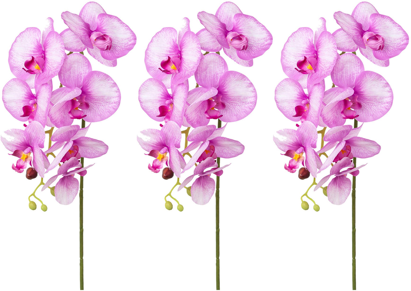 Creativ green Kunstorchidee »Orchidee Phalaenopsis« mit real-touch-Blüten