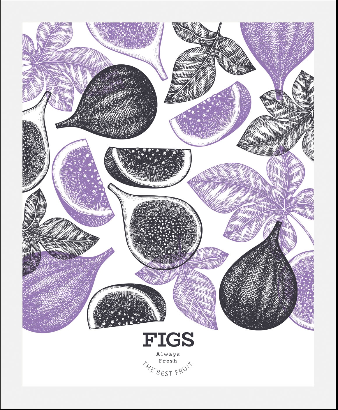 queence Image »Figs« 1 cuis tlg. gerahmt