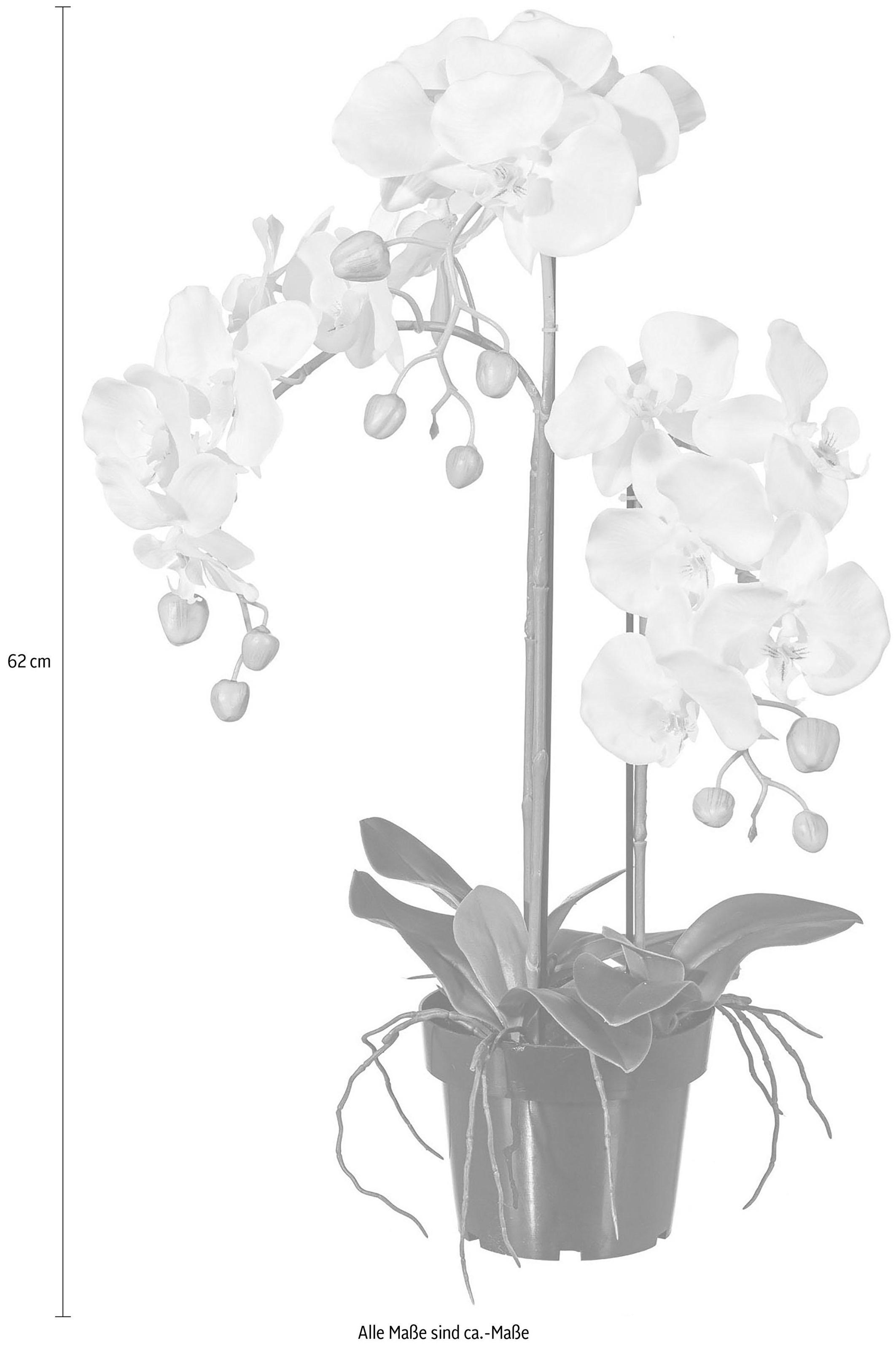 Creativ green Plante artificielle