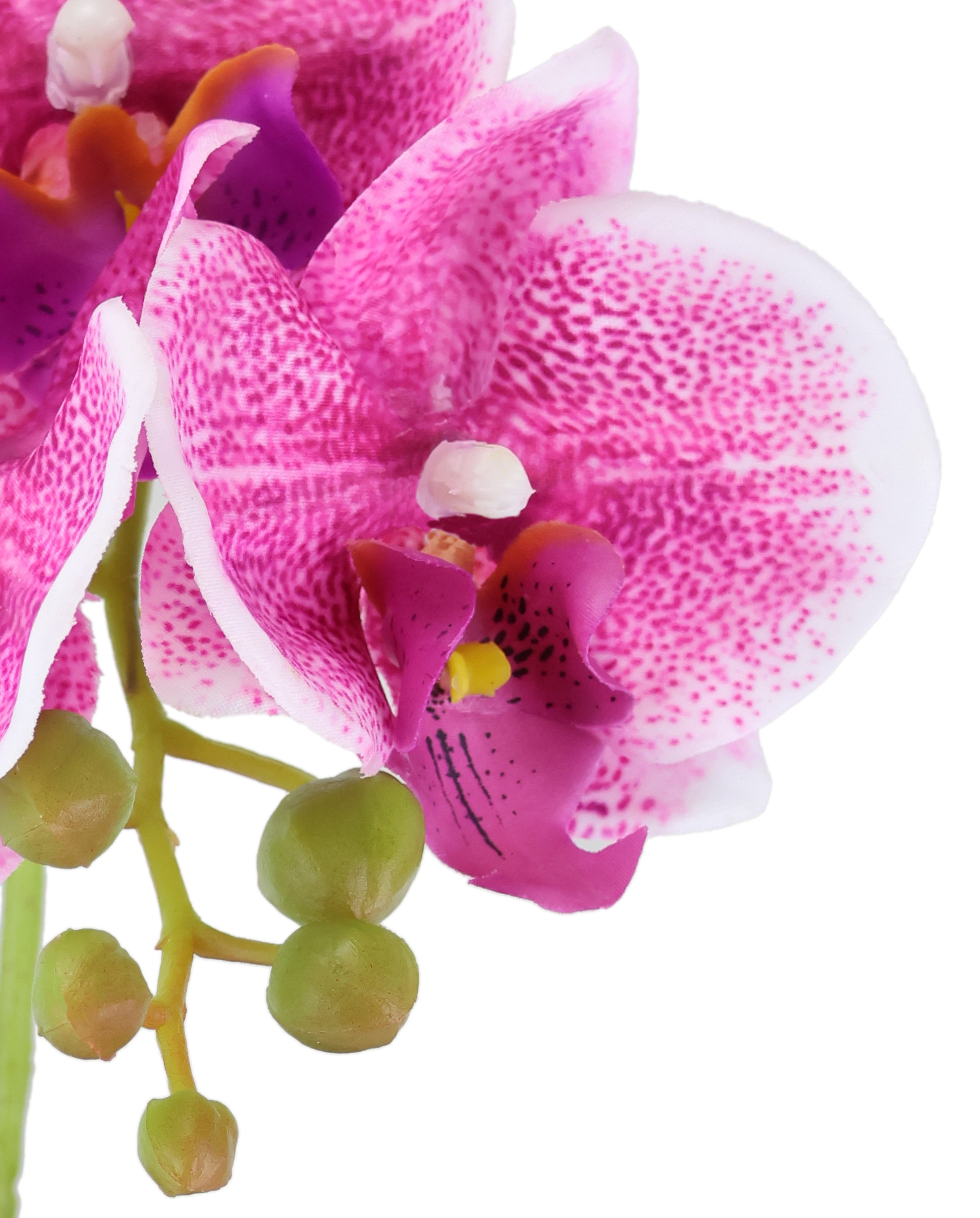 I.GE.A. Orchidée artificielle »Orchidee im Topf 2er Set« Künstliche Phalaenopsis 30cm Real Touch Blume Kunstblume Seidenblume