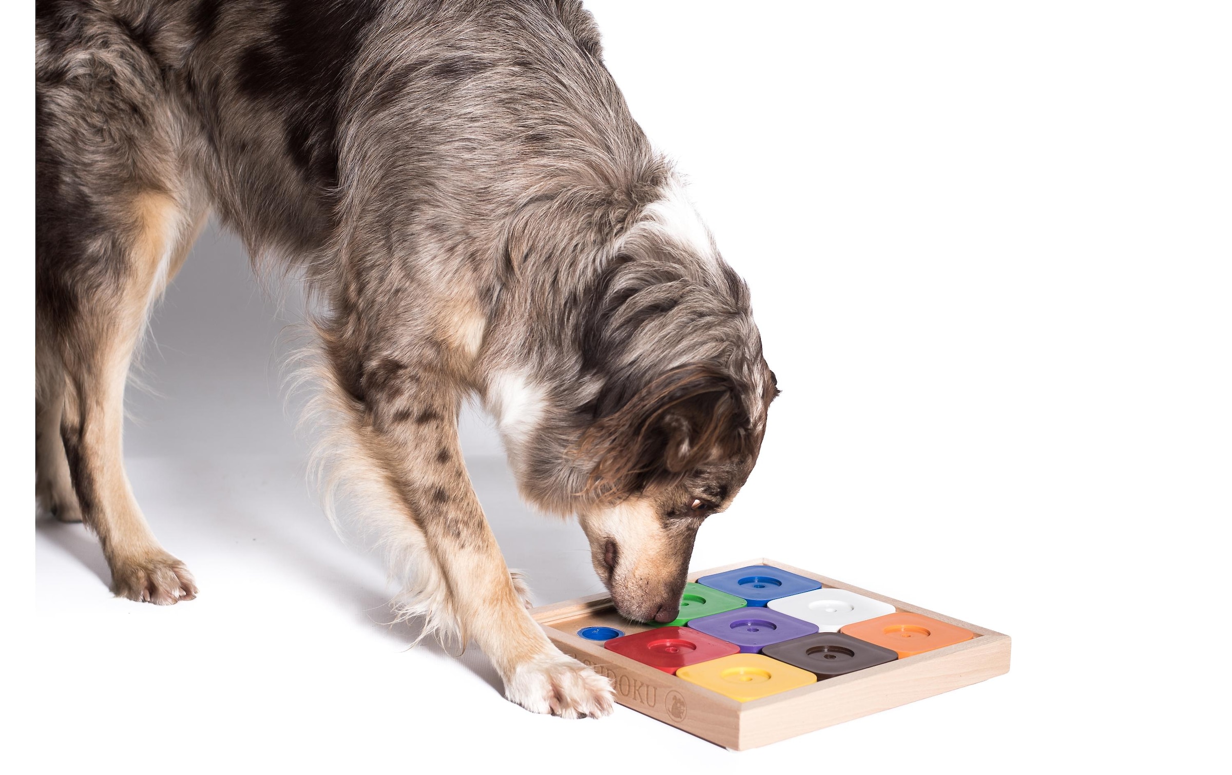   Tier-Intelligenzspielzeug »My Intelligent Dog Sodoku M Expert Rainbow« Holz | Kunststoff
