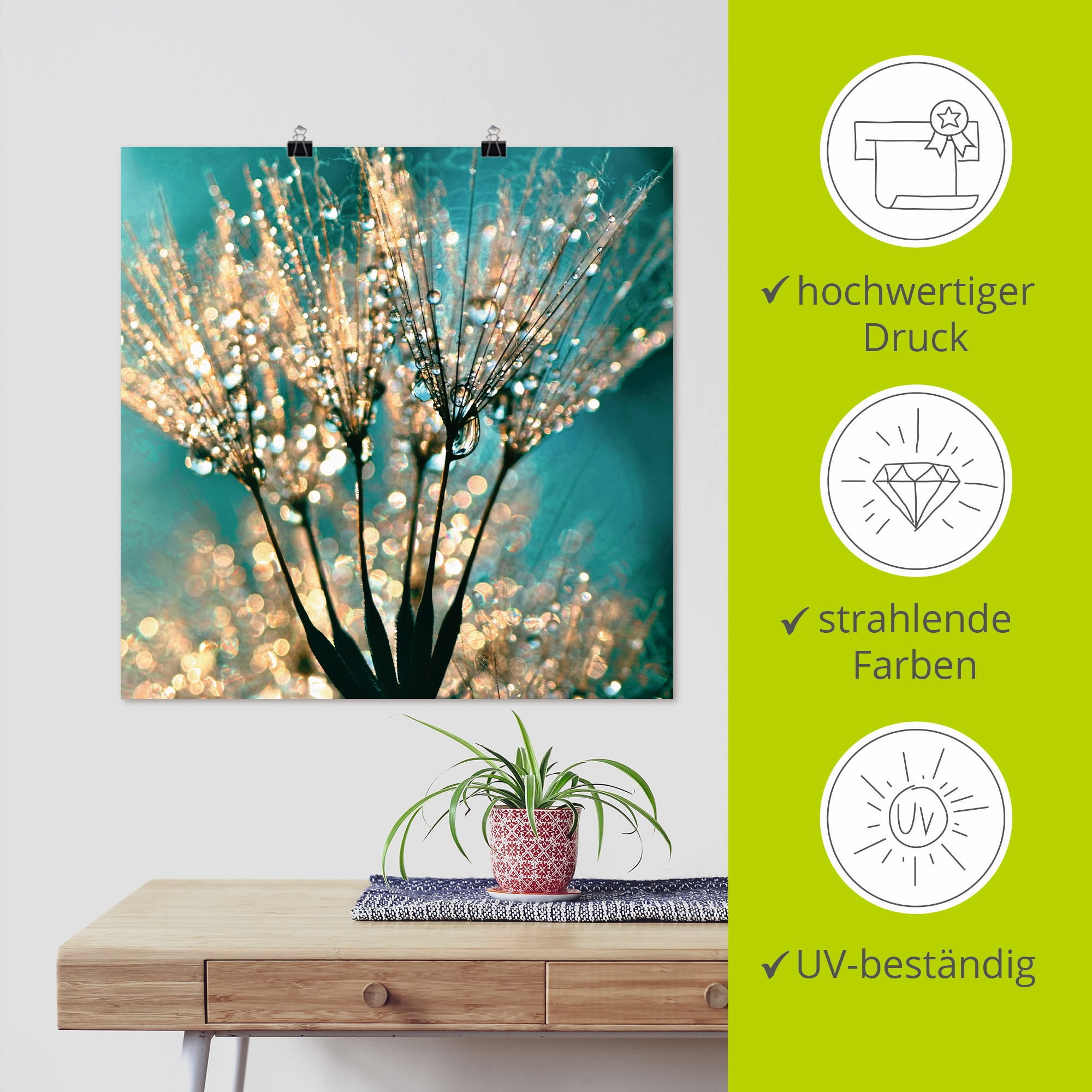 Artland Wandbild »Pusteblume Schirmchen abstrakt« Blumen 1 Stk. tlg. als Leinwandbild, Poster in verschied. Grössen