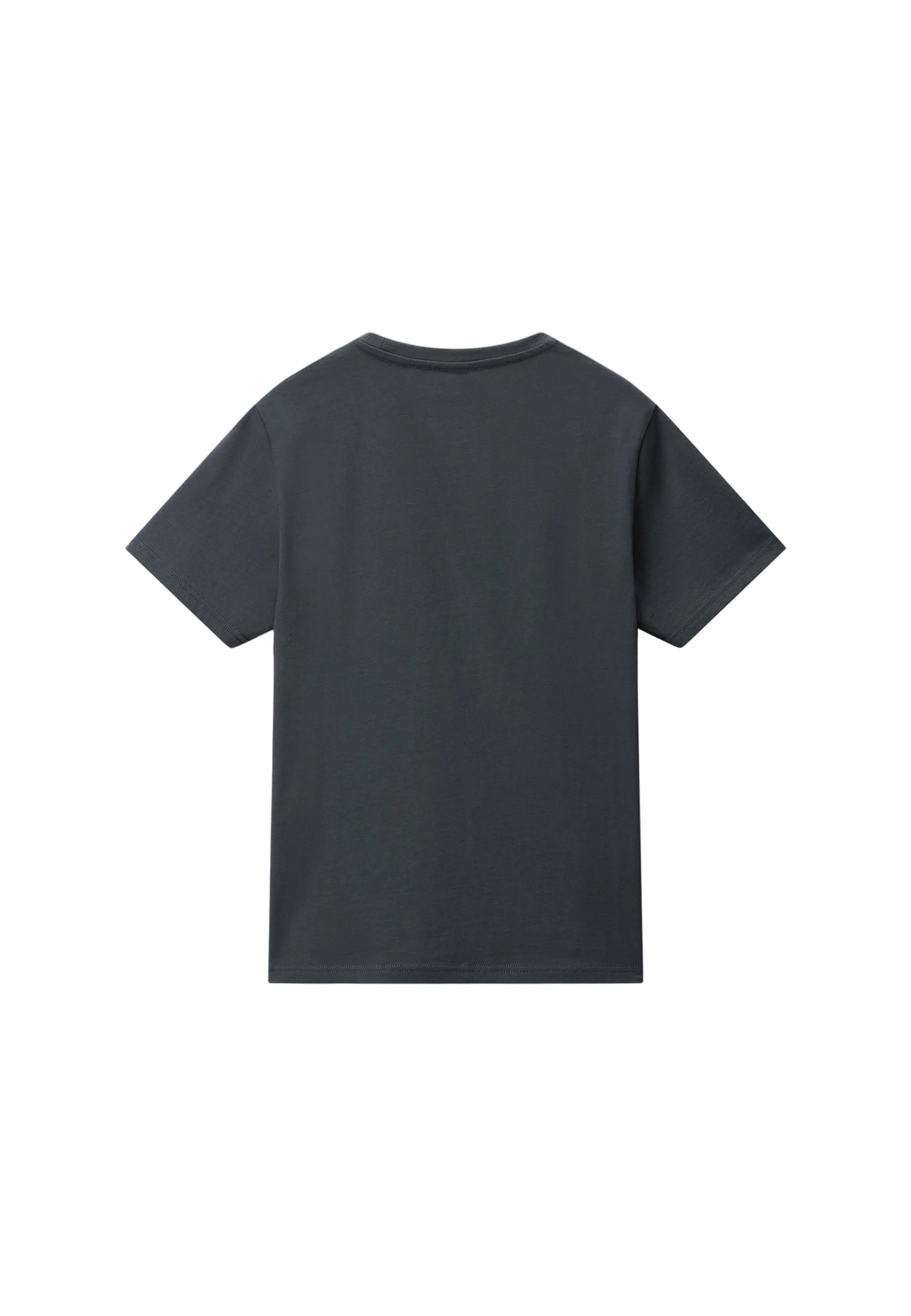 Napapijri T-Shirt »Napapijri T-Shirt SALIS SS«