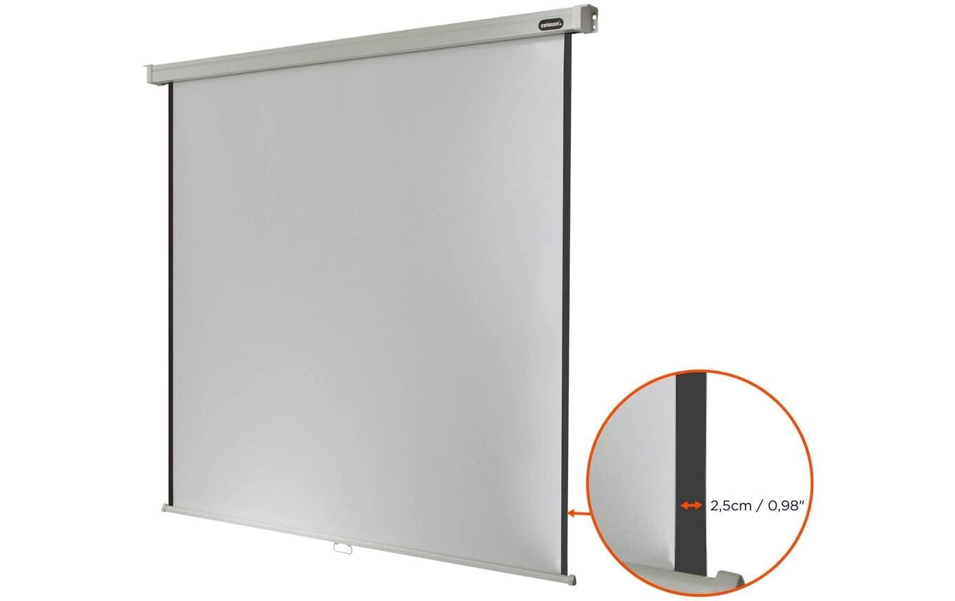 Celexon Rolloleinwand »Pro 160x160cm«