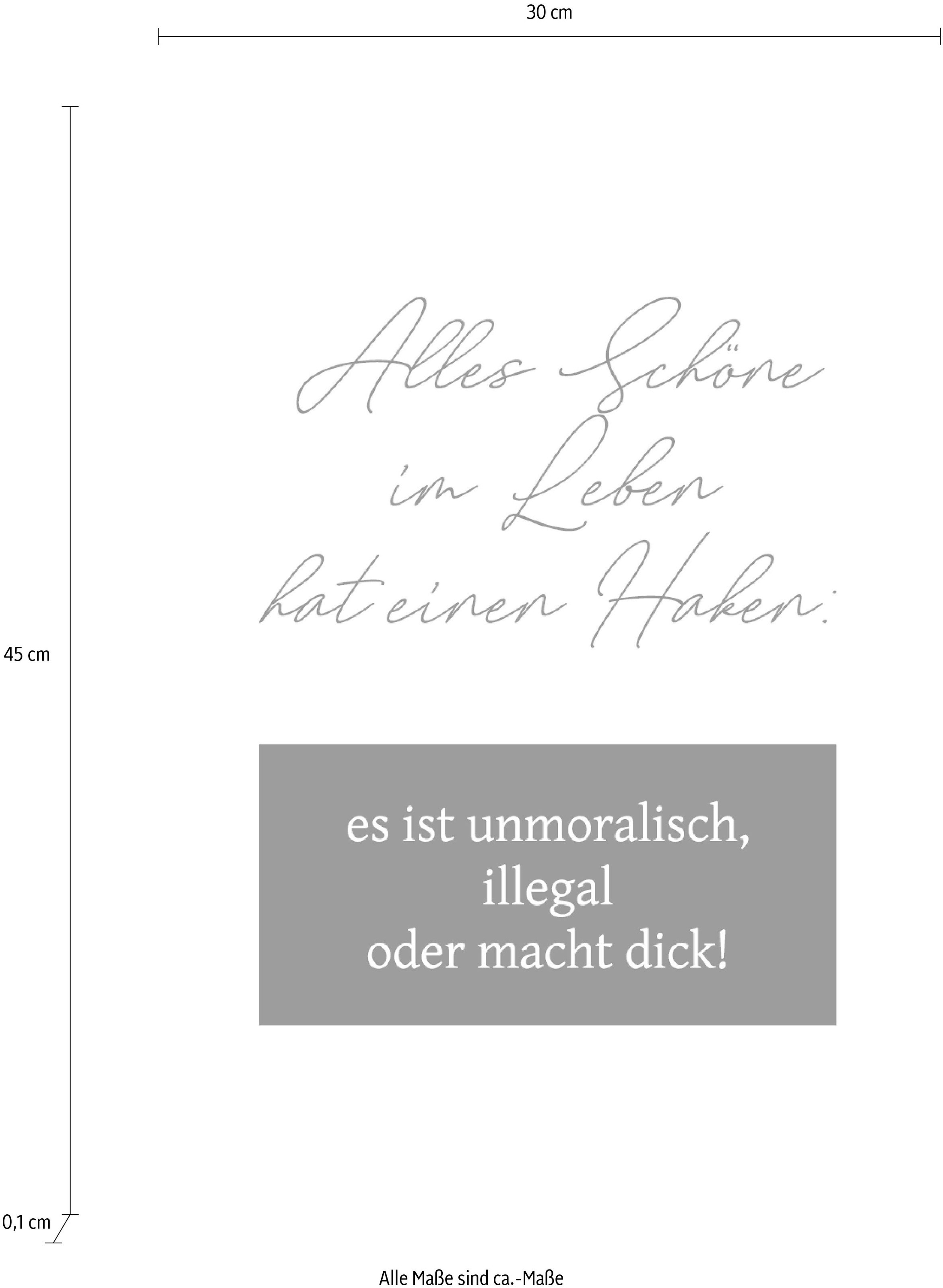 queence Objet de décoration murale »Alles Schöne im Leben hat einen Haken: ...« Stahlschild, Blechschild, Spruch, Witzig, Wanddeko, retro, 20x30cm