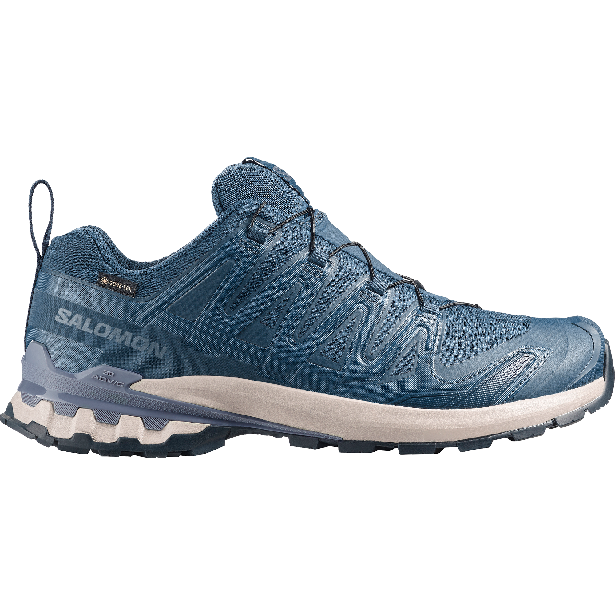 Salomon Trailrunningschuh »XA PRO 3D V9 GORE-TEX«  wasserdicht