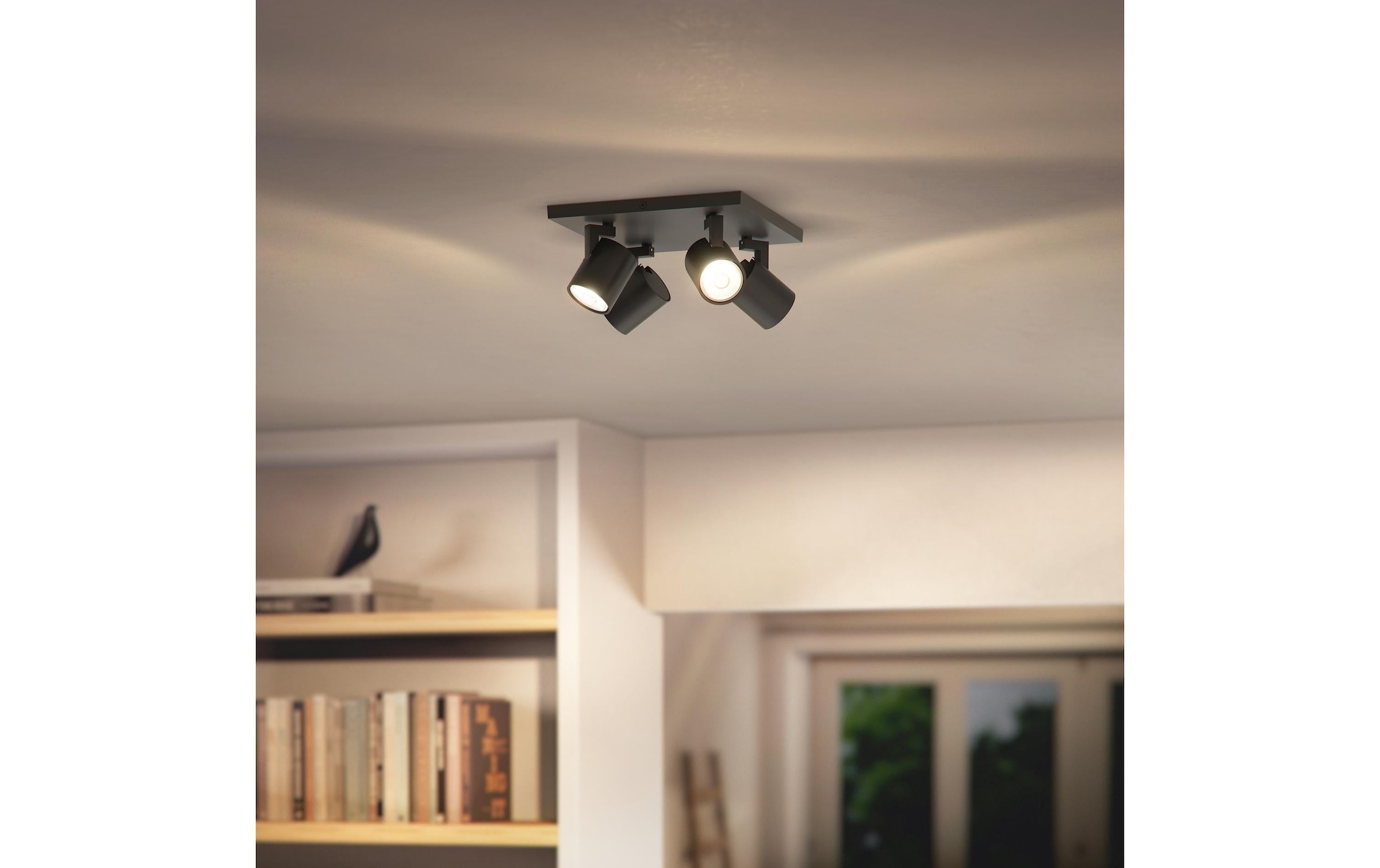 Philips Plafonnier