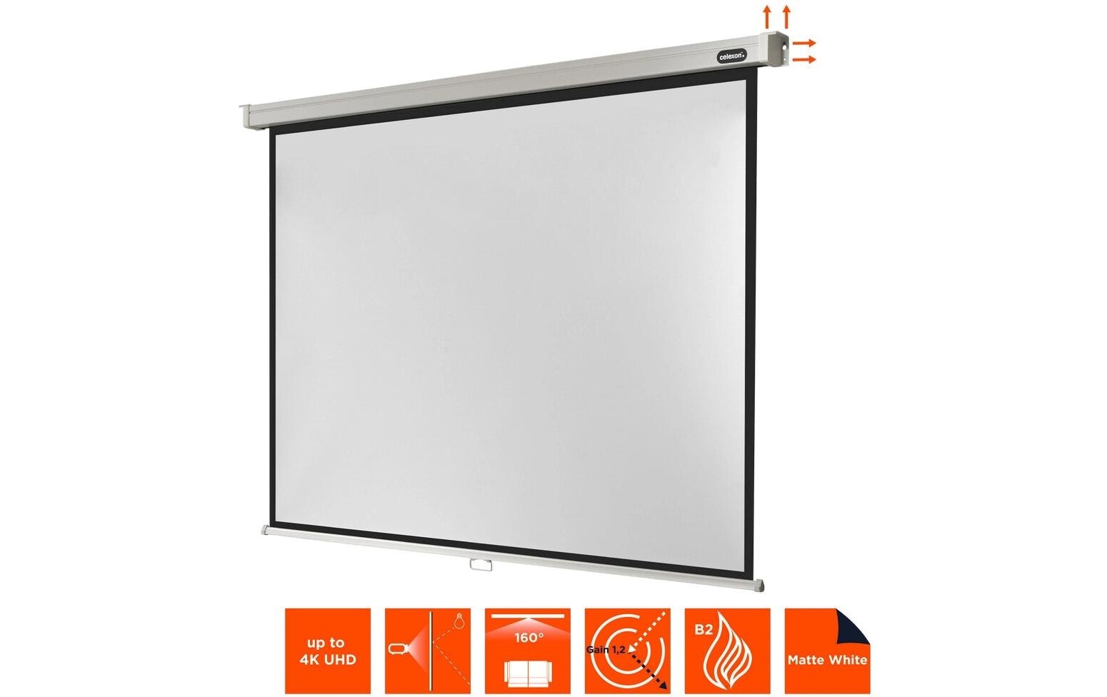 Celexon Rolloleinwand »Pro 160x120cm«
