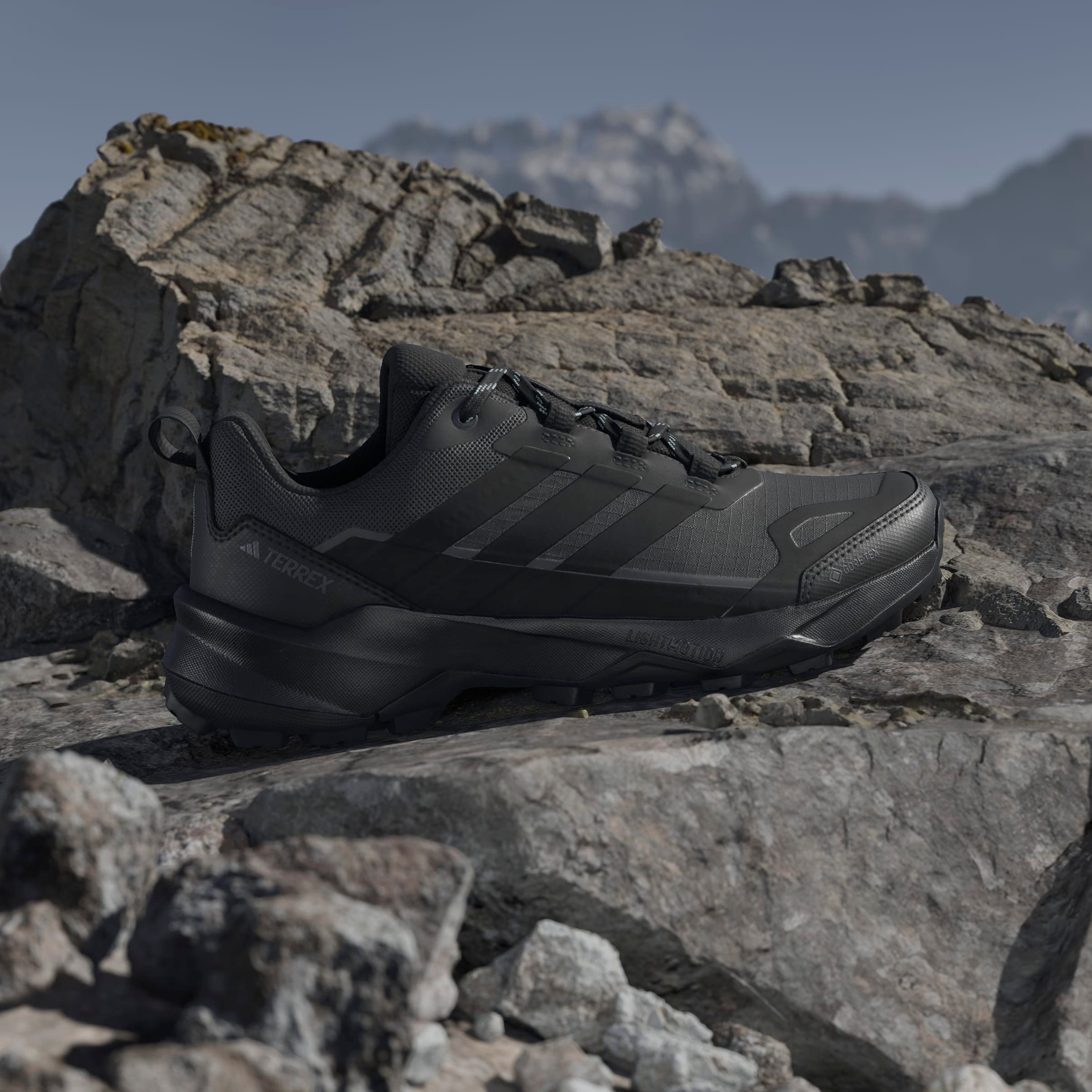 adidas TERREX Wanderschuh »TERREX SKYCHASER AX5 GORE-TEX«  wasserdicht