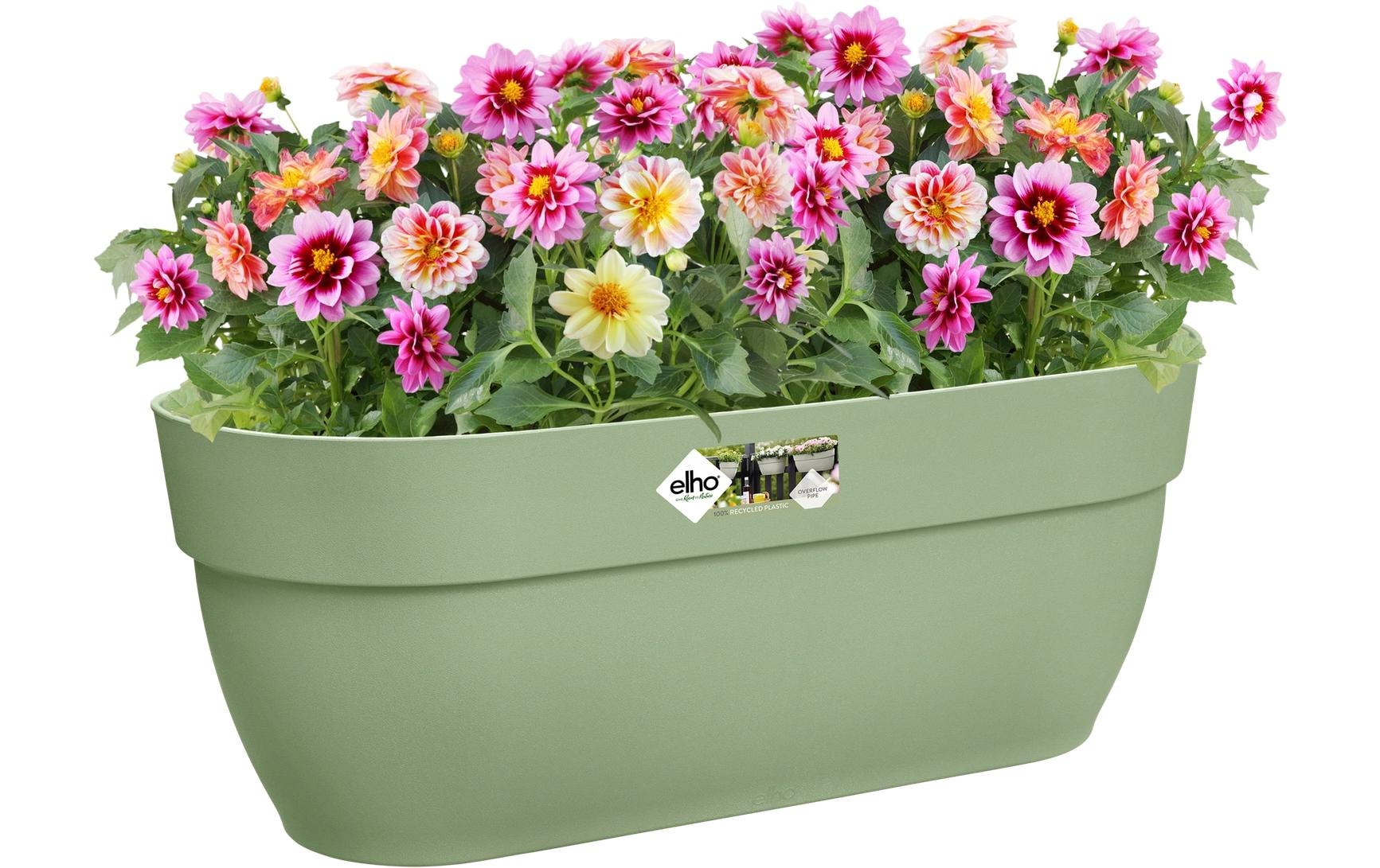 Elho Pot de fleurs »Vibia Campana Easy Aufhänger Gross«