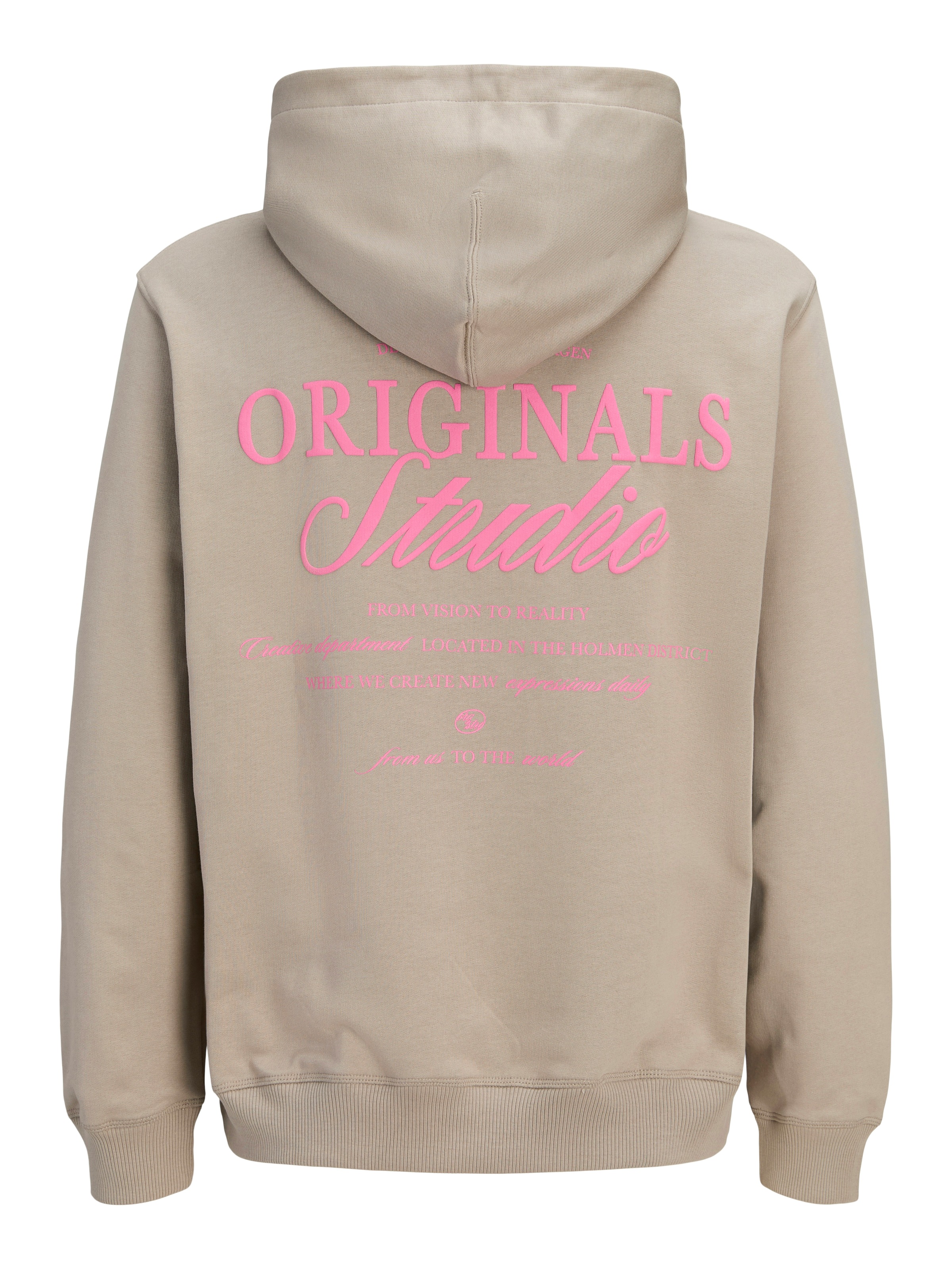 Jack & Jones Sweat à capuche »JORNORREBRO TYPO BACK SWEAT HOOD SN«, avec impression
